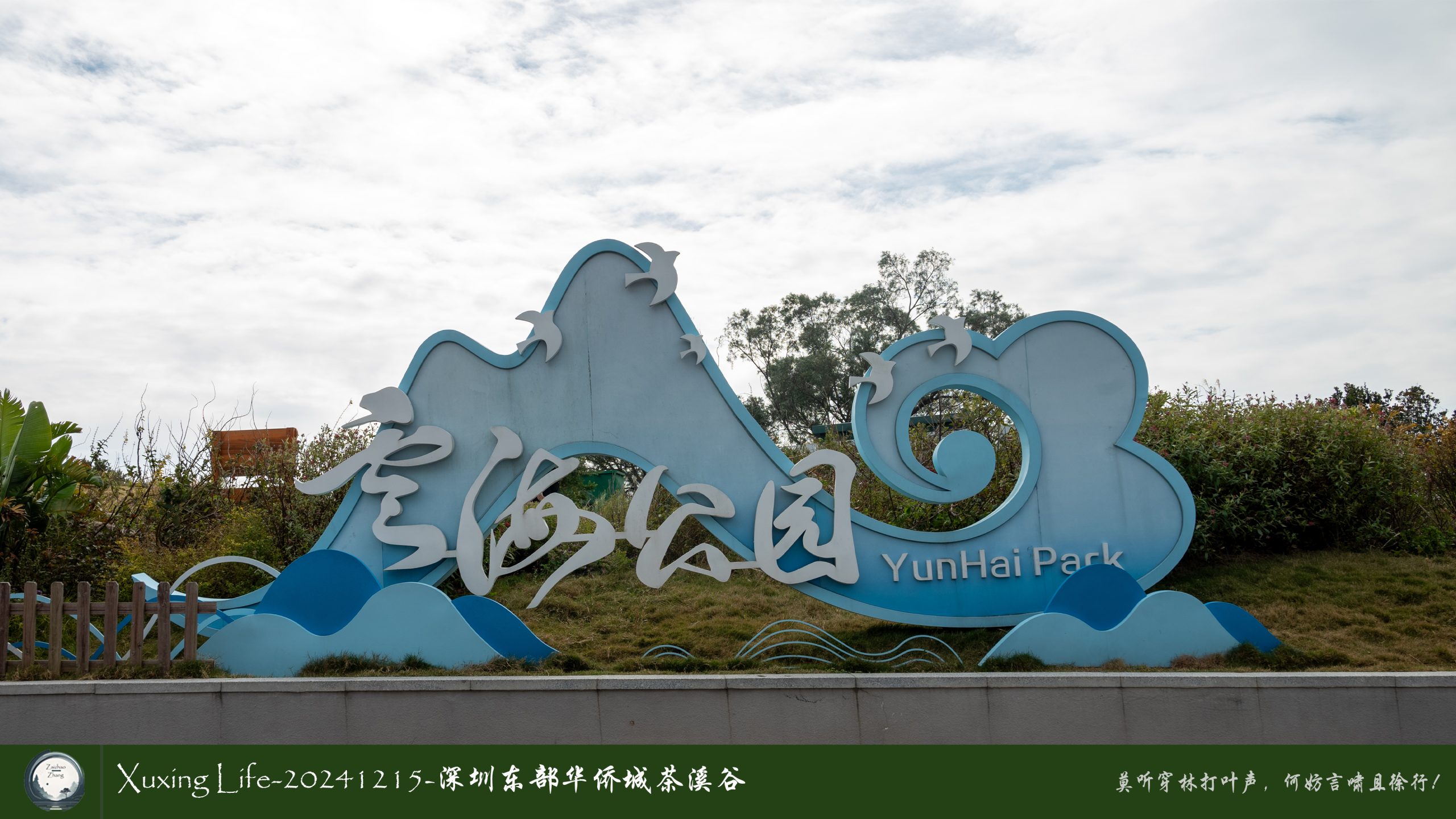 Xuxing Life-20241215-深圳东部华侨城/云海公园