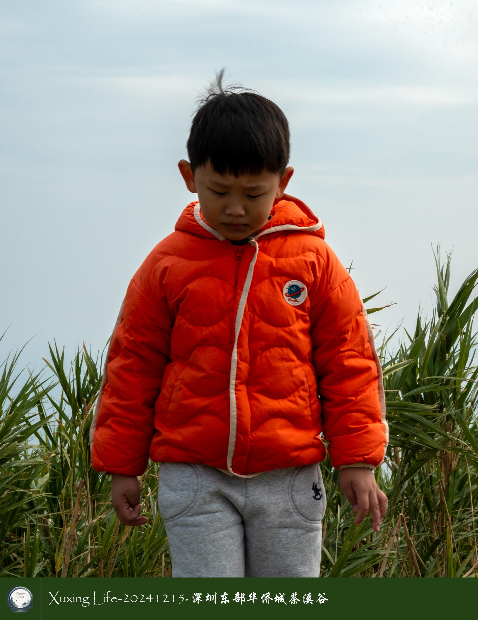 Xuxing Life-20241215-深圳东部华侨城/云海公园