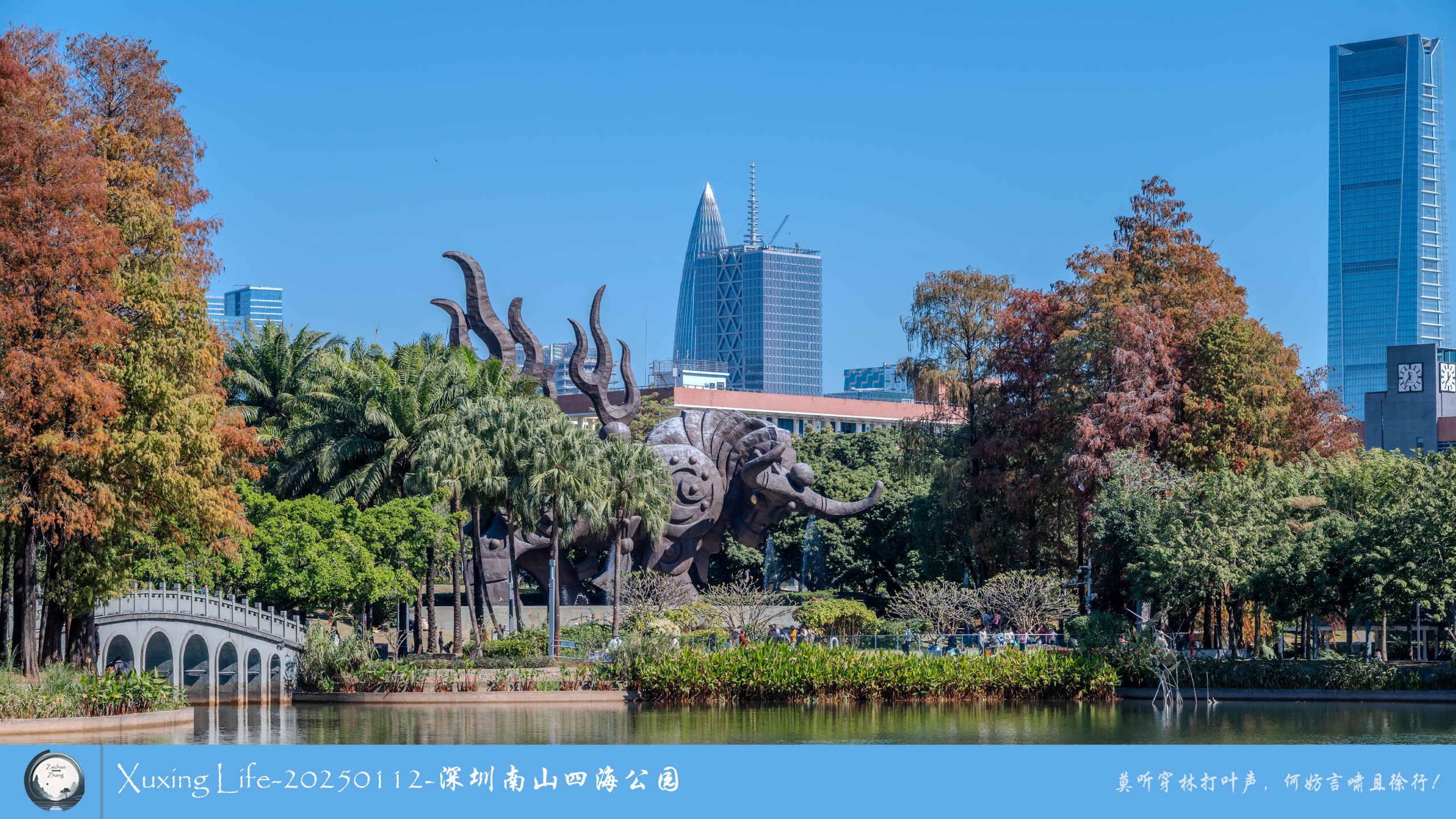 XuXing Life - 20250112 - 深圳南山四海公园