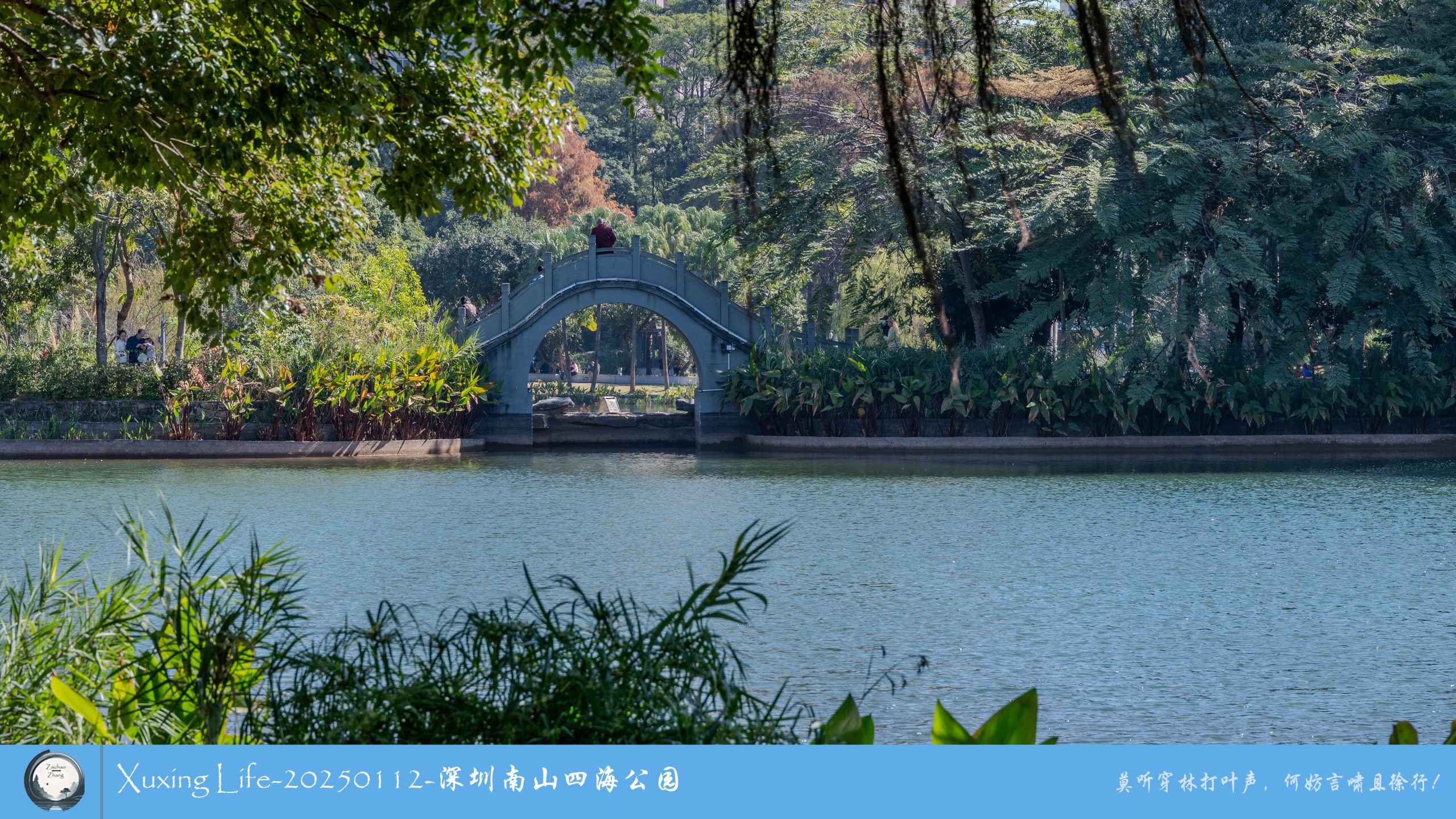 XuXing Life - 20250112 - 深圳南山四海公园