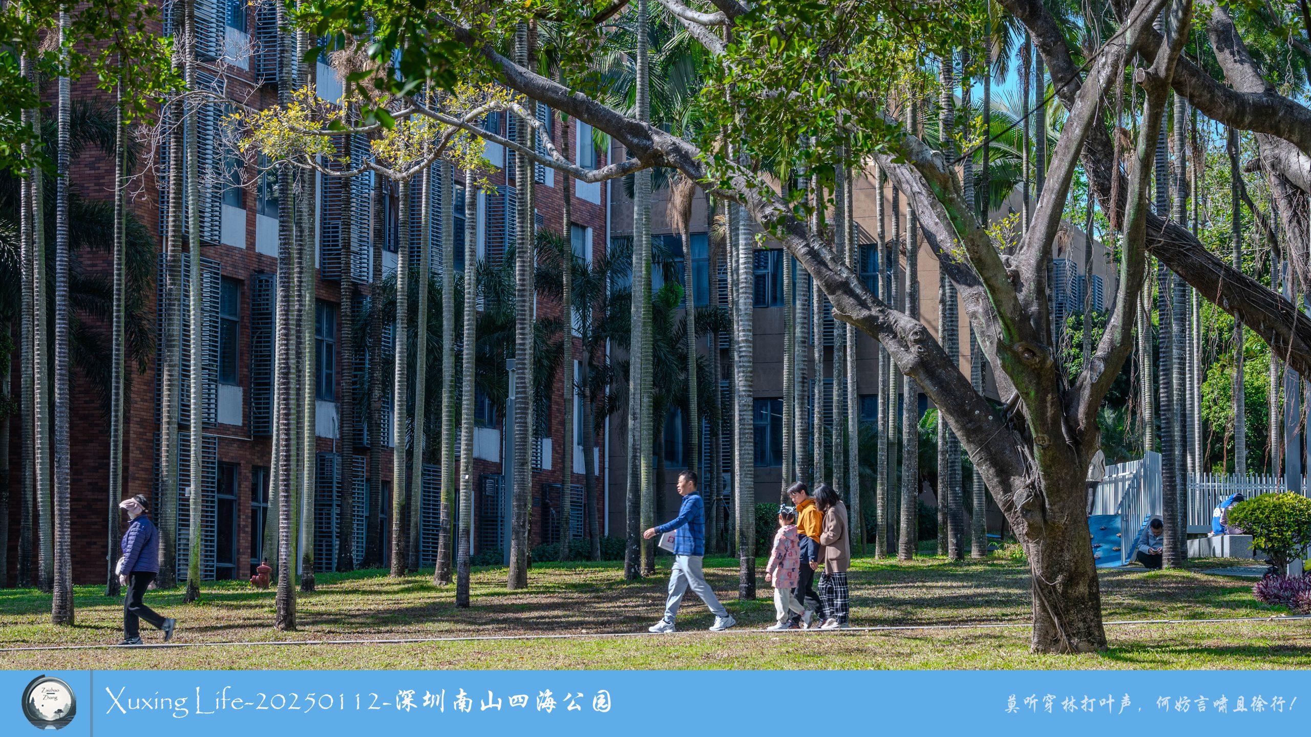 XuXing Life - 20250112 - 深圳南山四海公园