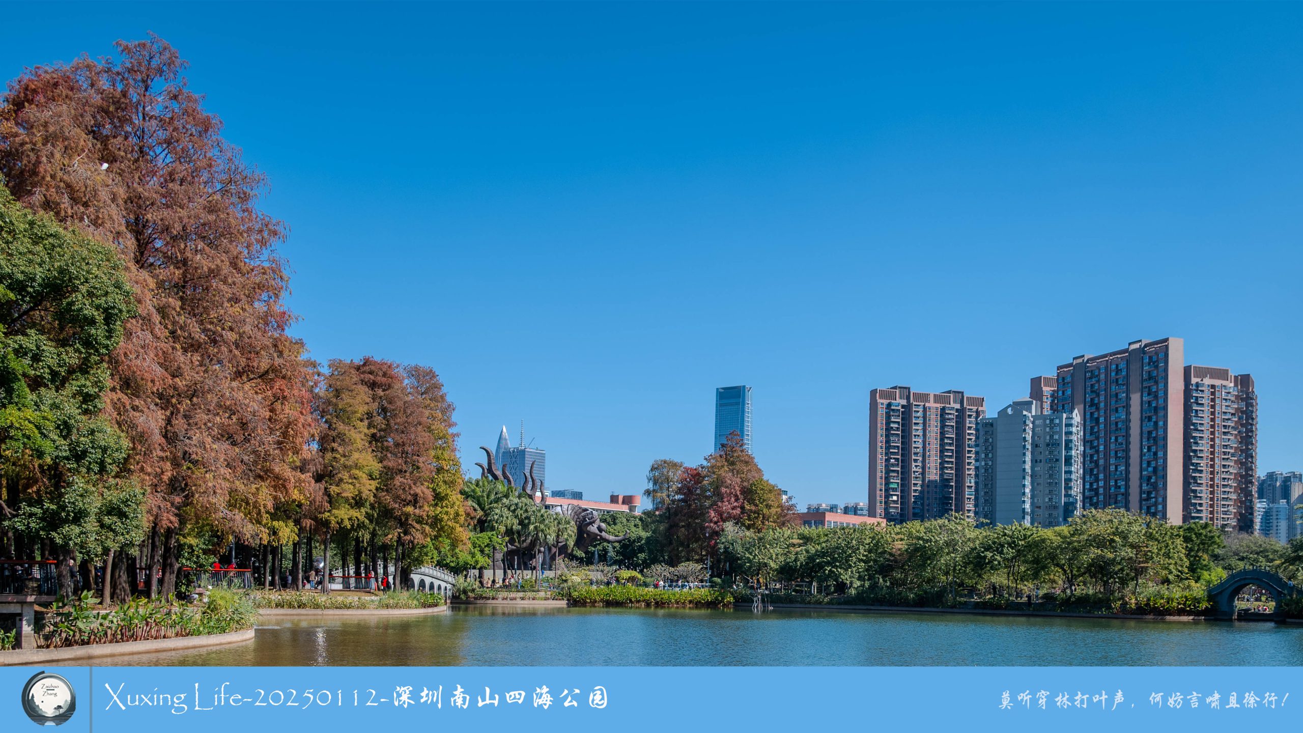 XuXing Life - 20250112 - 深圳南山四海公园