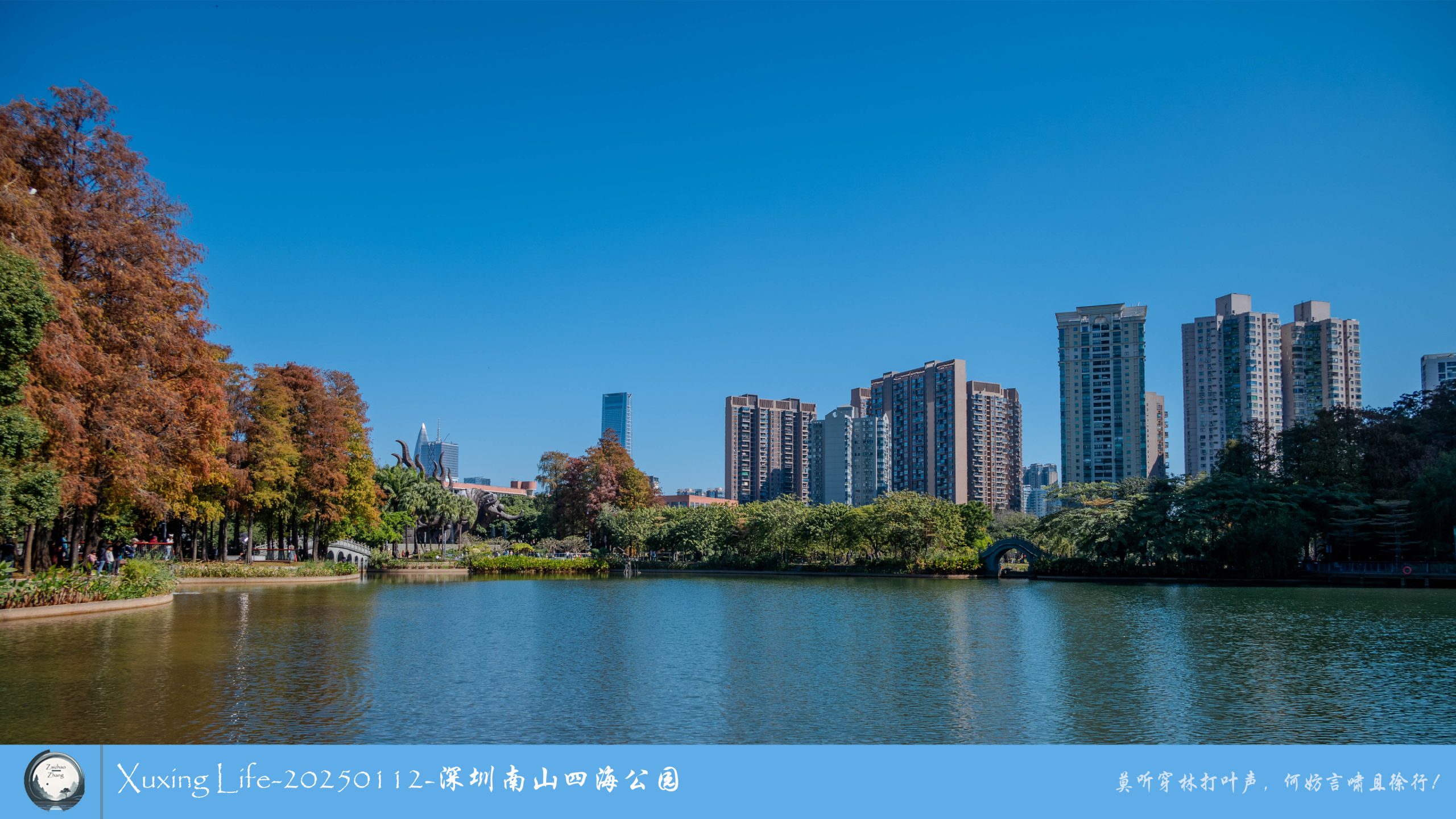 XuXing Life - 20250112 - 深圳南山四海公园