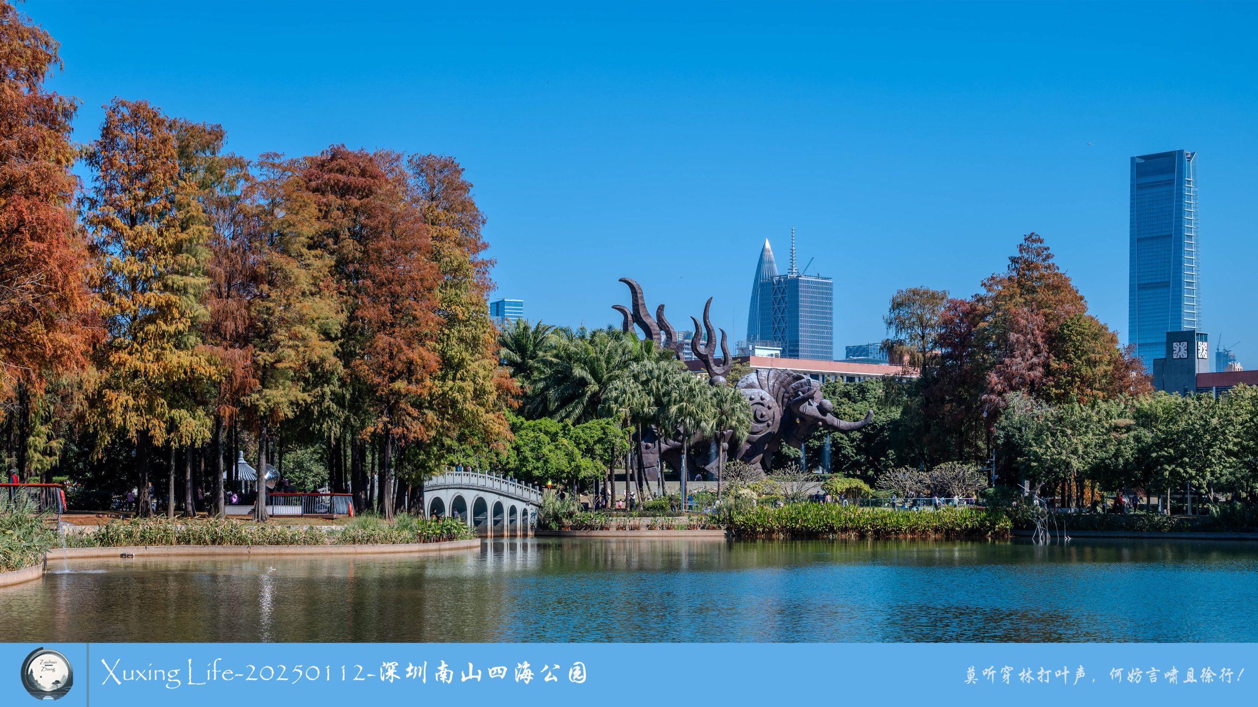XuXing Life - 20250112 - 深圳南山四海公园