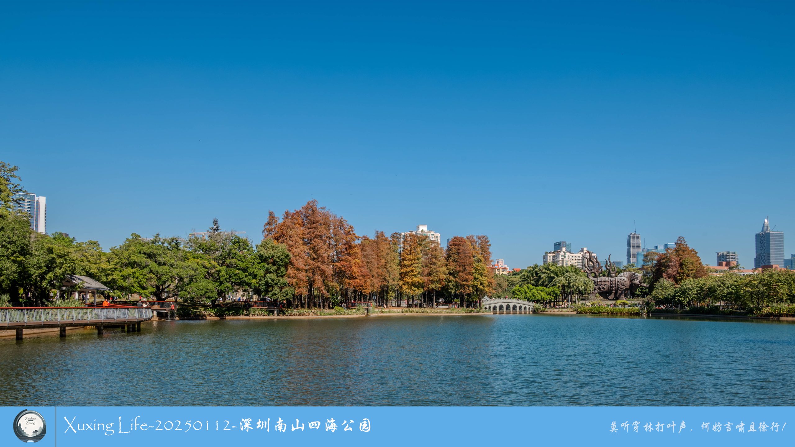 XuXing Life - 20250112 - 深圳南山四海公园