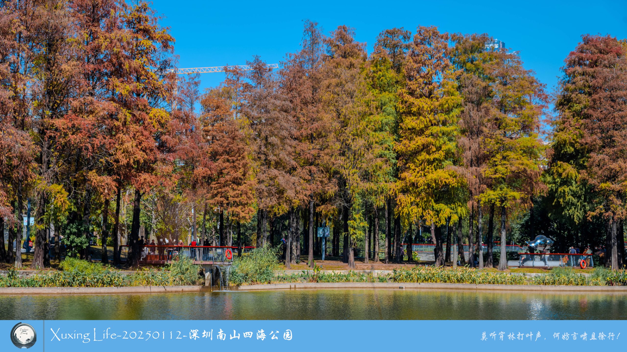 XuXing Life - 20250112 - 深圳南山四海公园