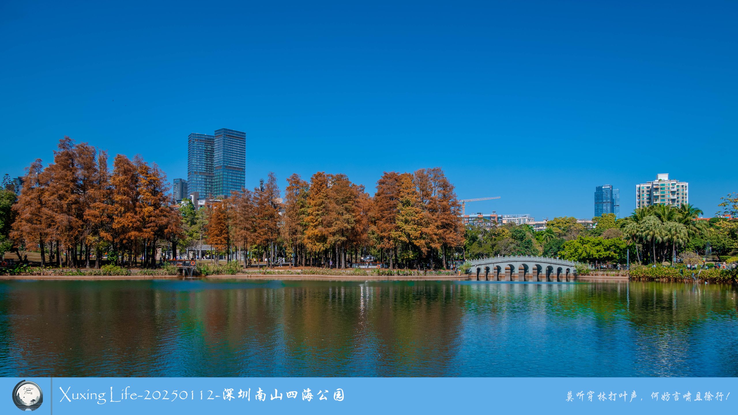 XuXing Life - 20250112 - 深圳南山四海公园