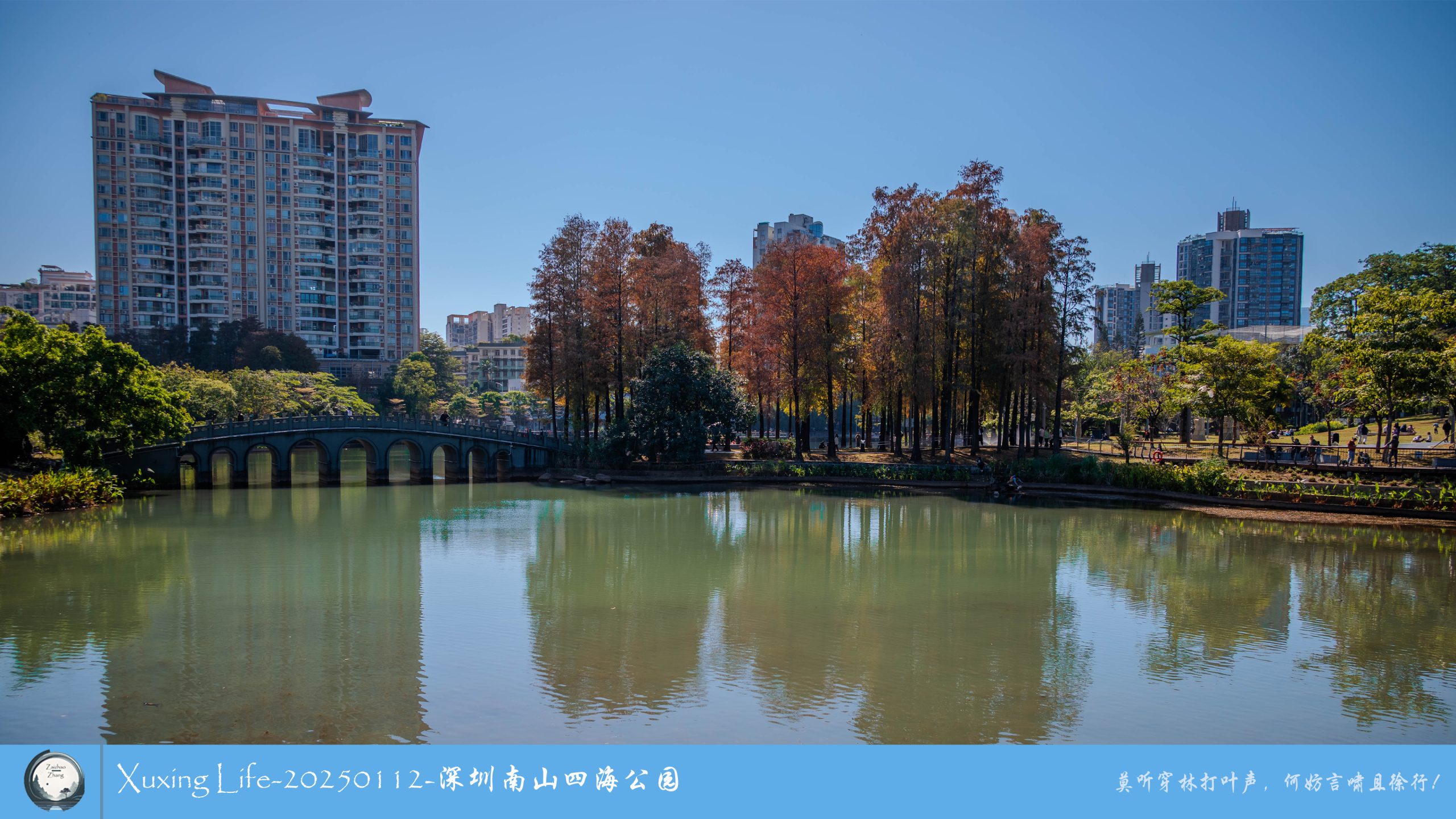 XuXing Life - 20250112 - 深圳南山四海公园