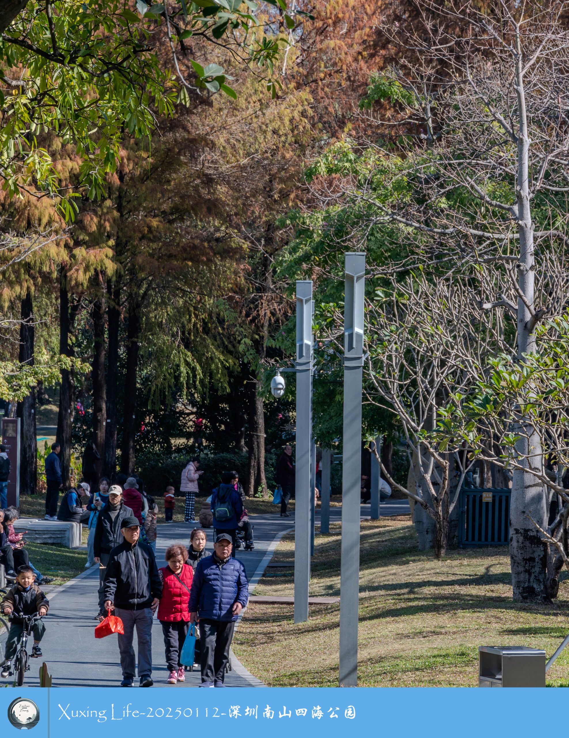 XuXing Life - 20250112 - 深圳南山四海公园