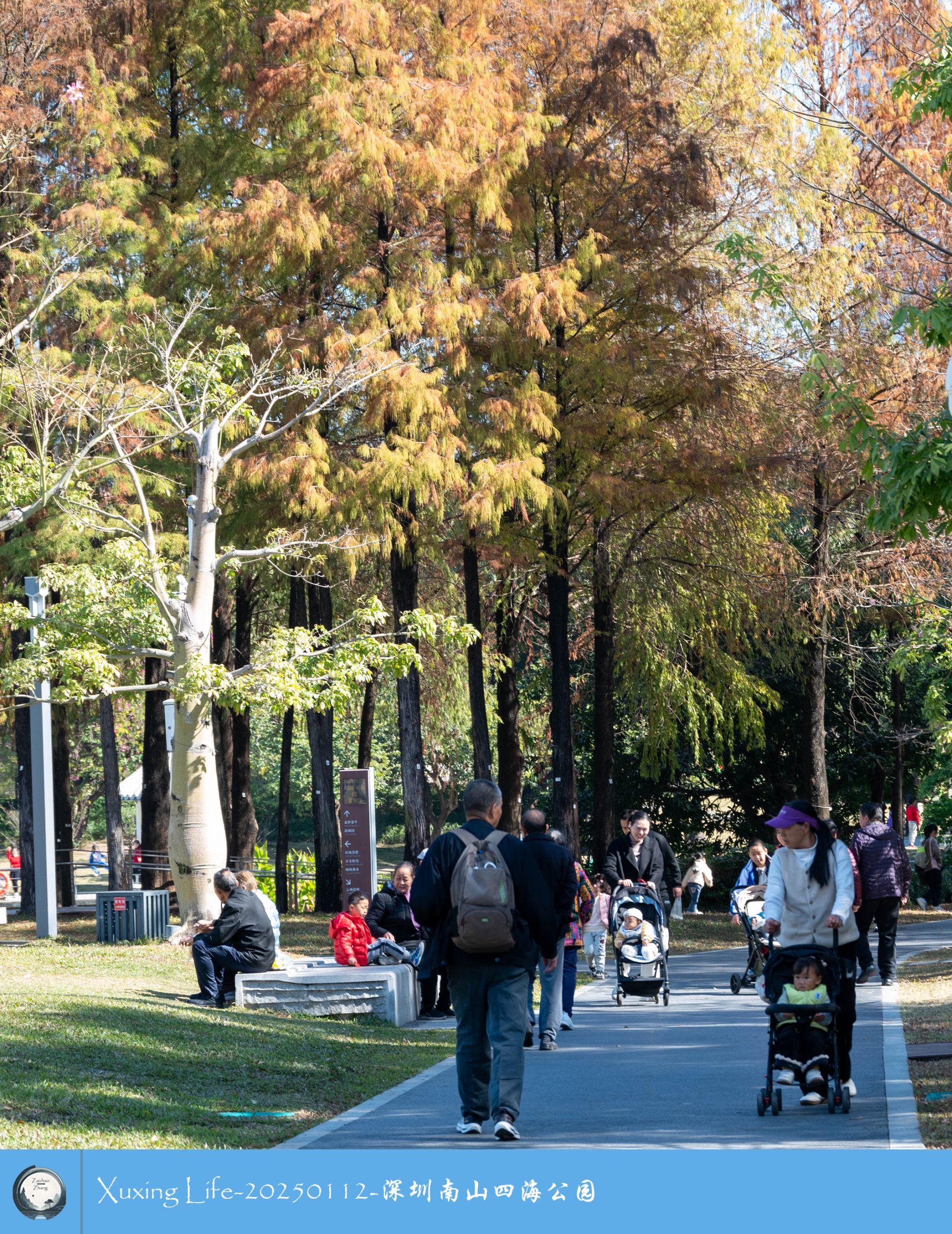 XuXing Life - 20250112 - 深圳南山四海公园