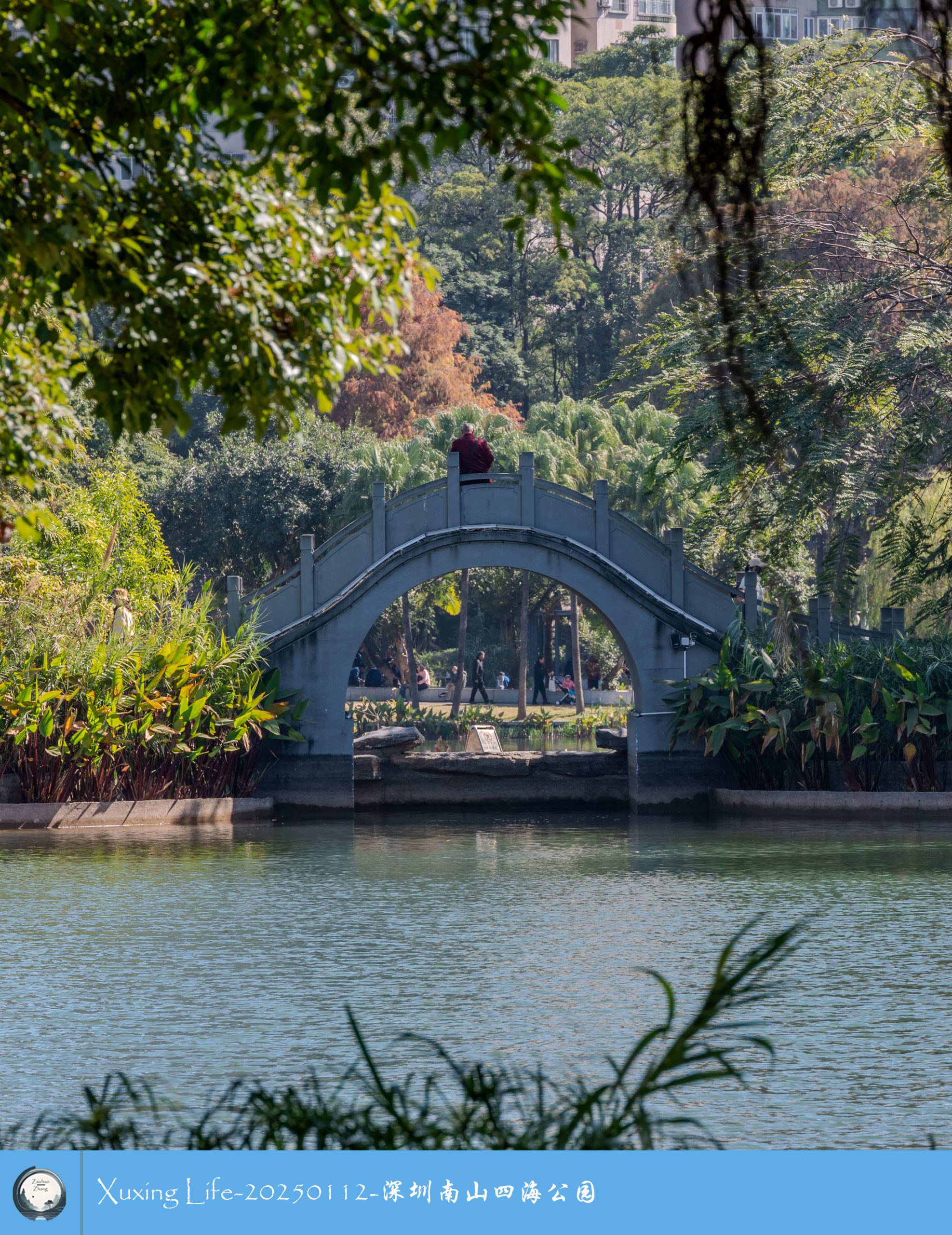 XuXing Life - 20250112 - 深圳南山四海公园