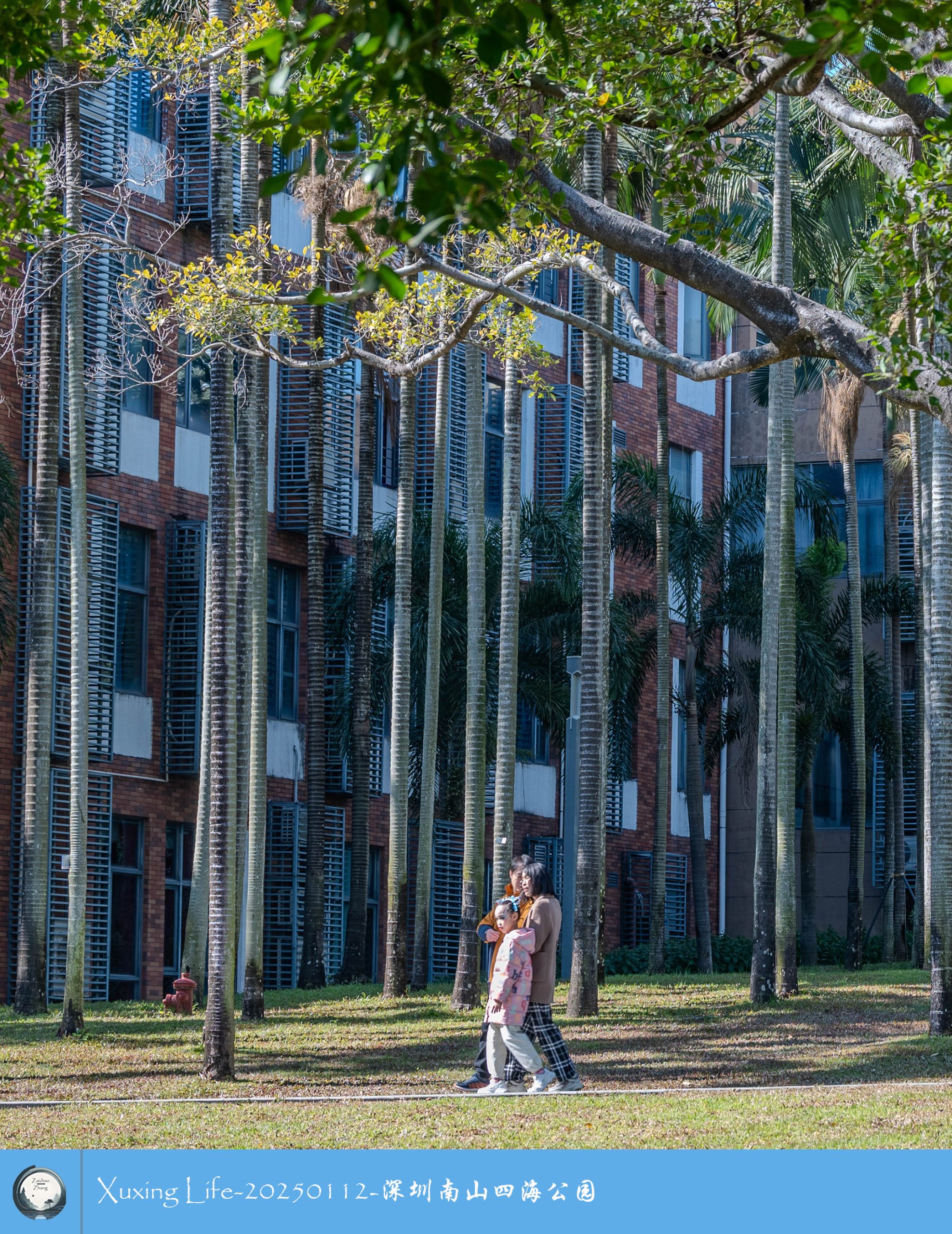 XuXing Life - 20250112 - 深圳南山四海公园