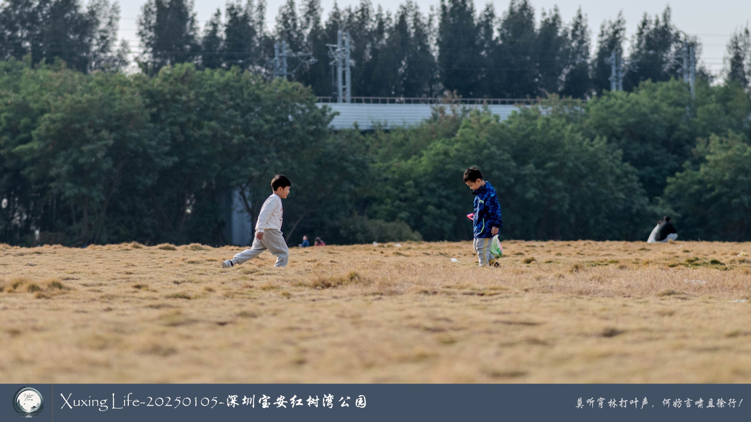 Xuxing Life - 2025年1月5日 - 深圳红树湾公园