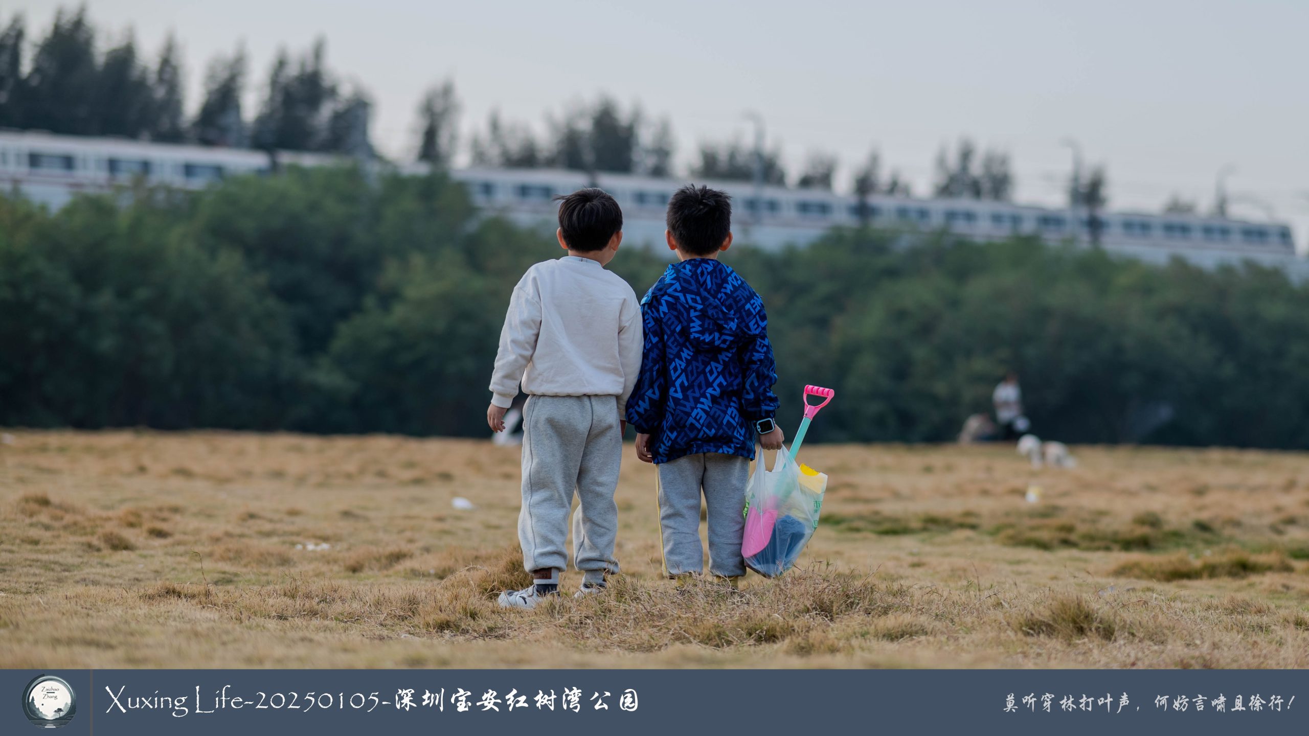 Xuxing Life - 2025年1月5日 - 深圳红树湾公园