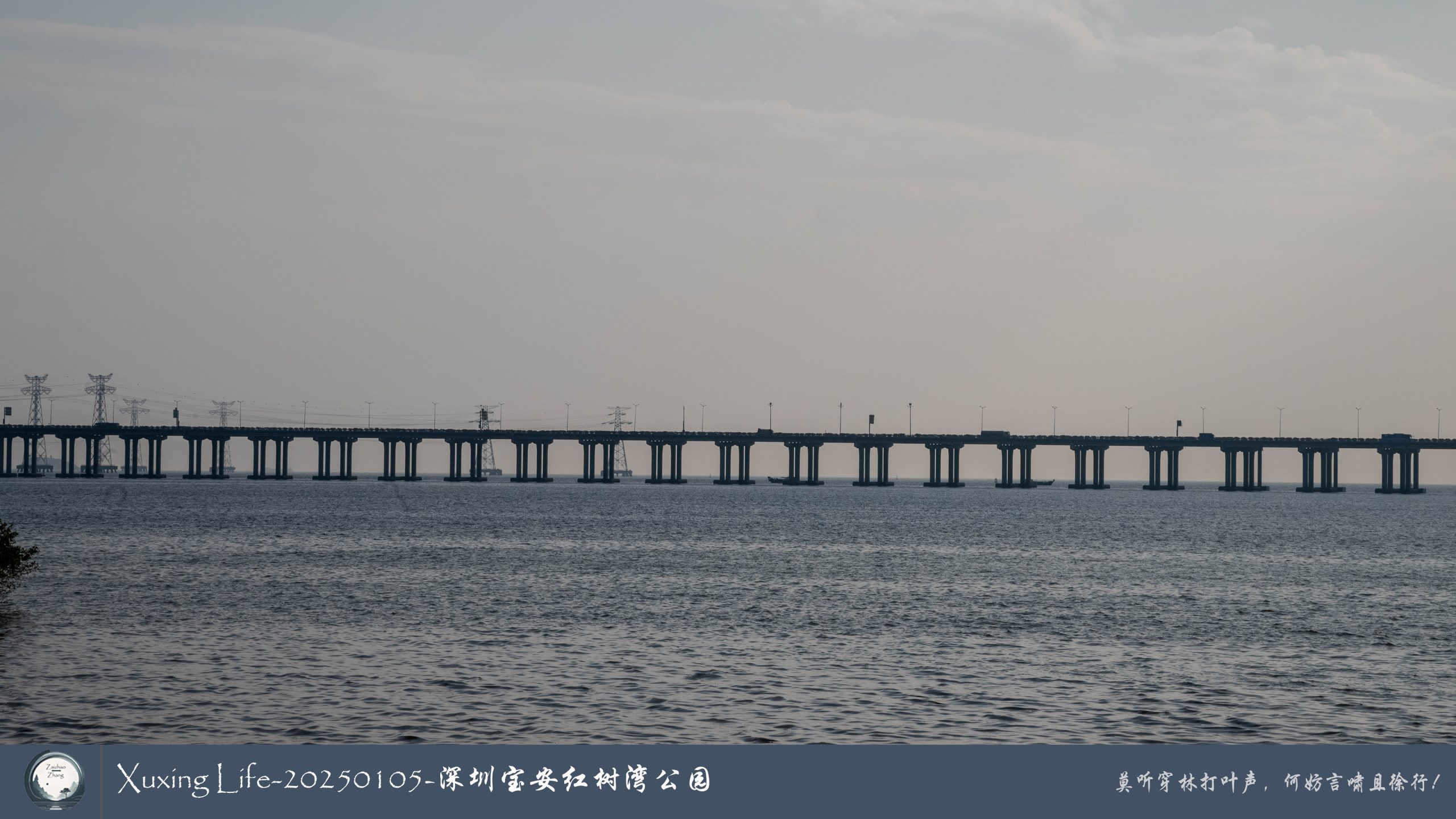 Xuxing Life - 2025年1月5日 - 深圳红树湾公园