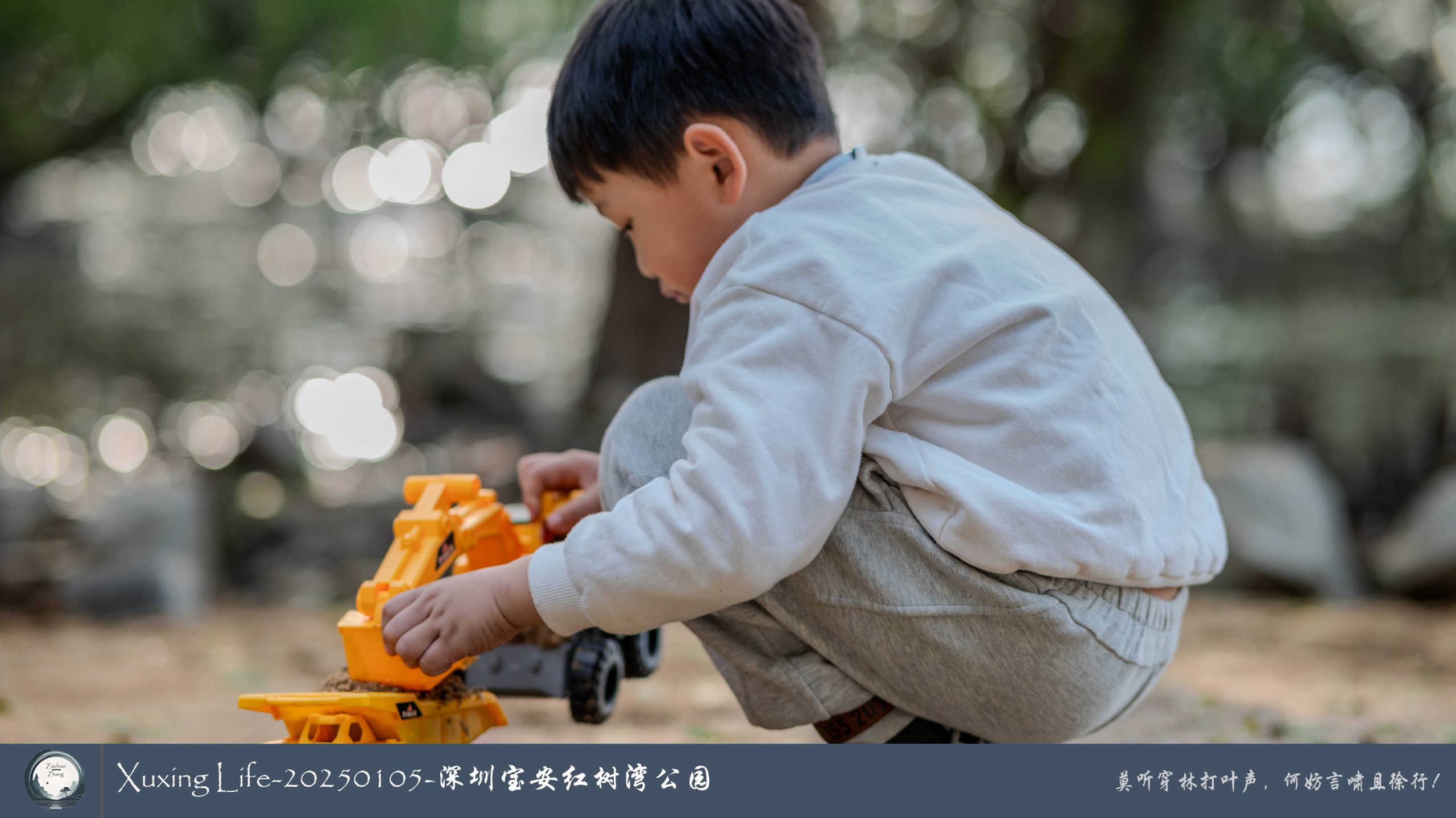 Xuxing Life - 2025年1月5日 - 深圳红树湾公园