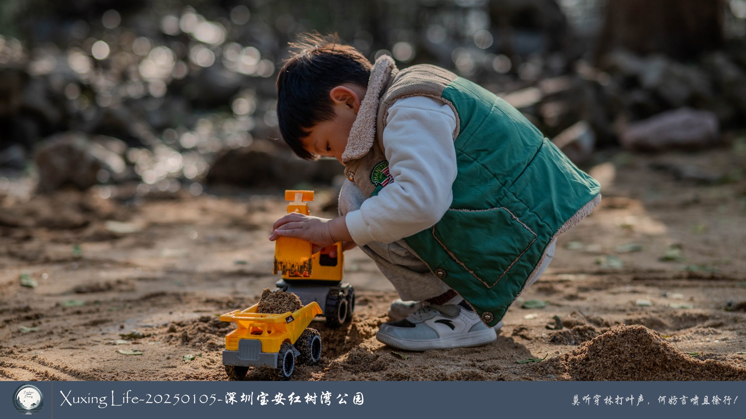 Xuxing Life - 2025年1月5日 - 深圳红树湾公园