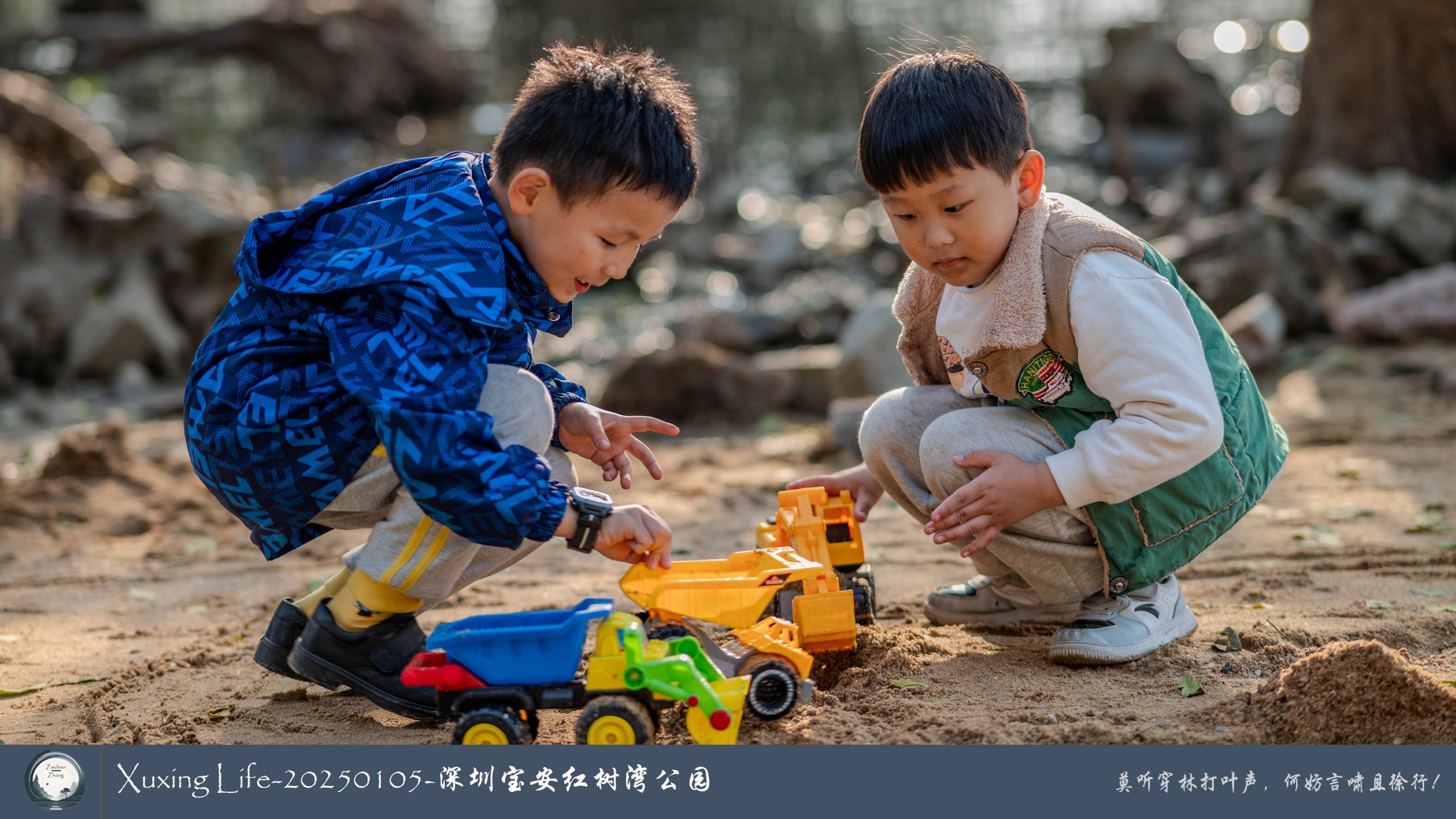 Xuxing Life - 2025年1月5日 - 深圳红树湾公园