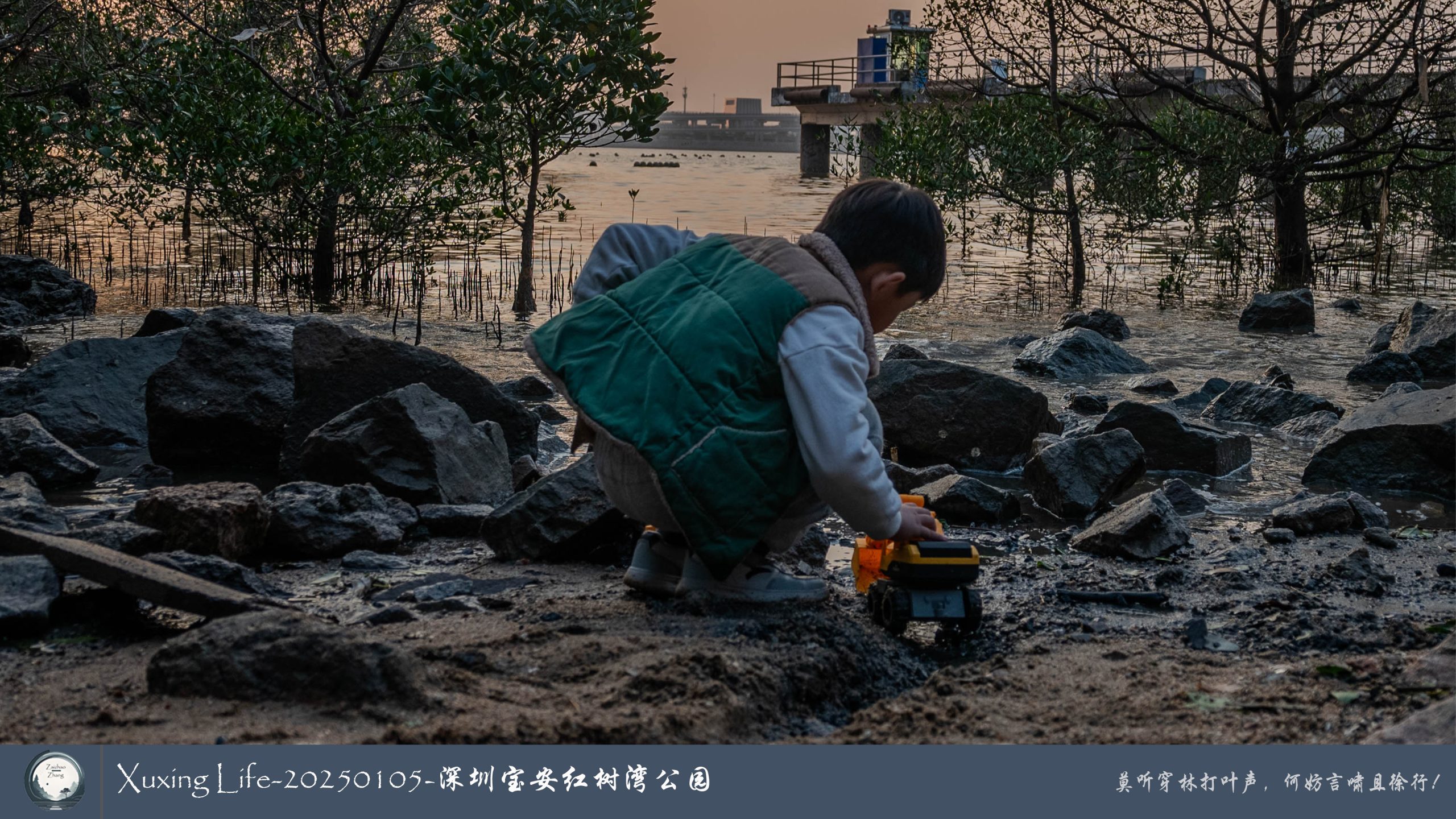 Xuxing Life - 2025年1月5日 - 深圳红树湾公园