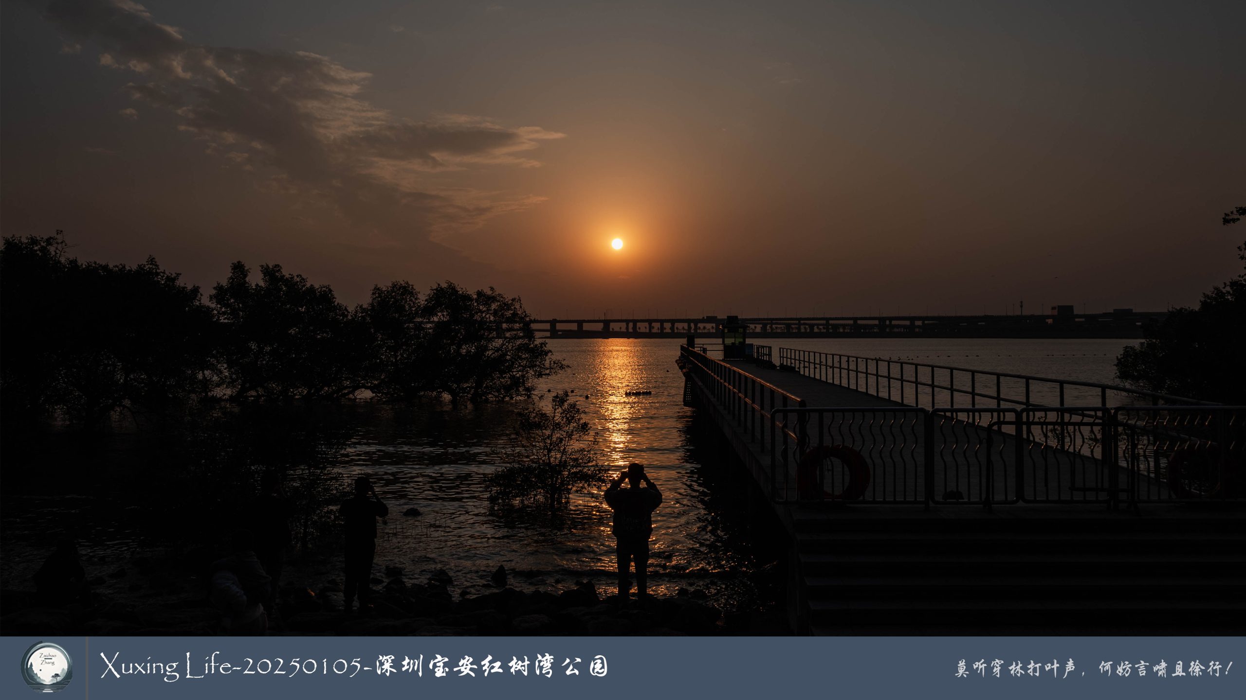 Xuxing Life - 2025年1月5日 - 深圳红树湾公园