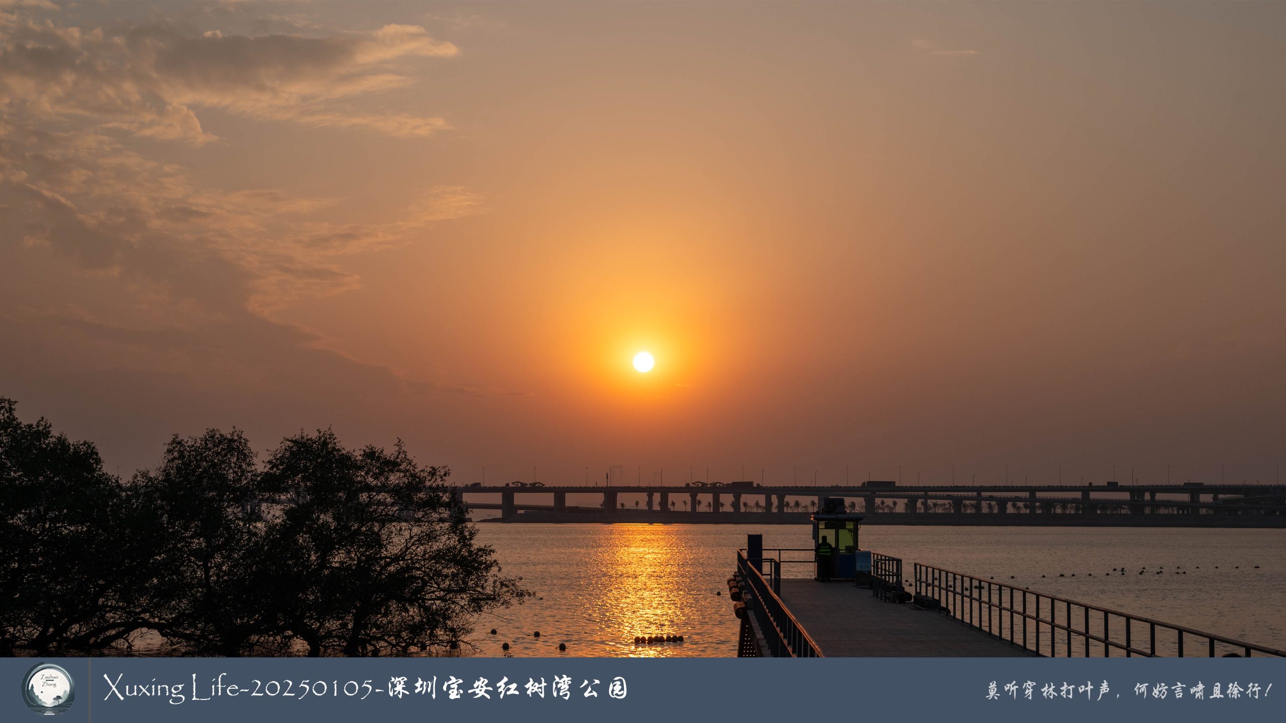 Xuxing Life - 2025年1月5日 - 深圳红树湾公园