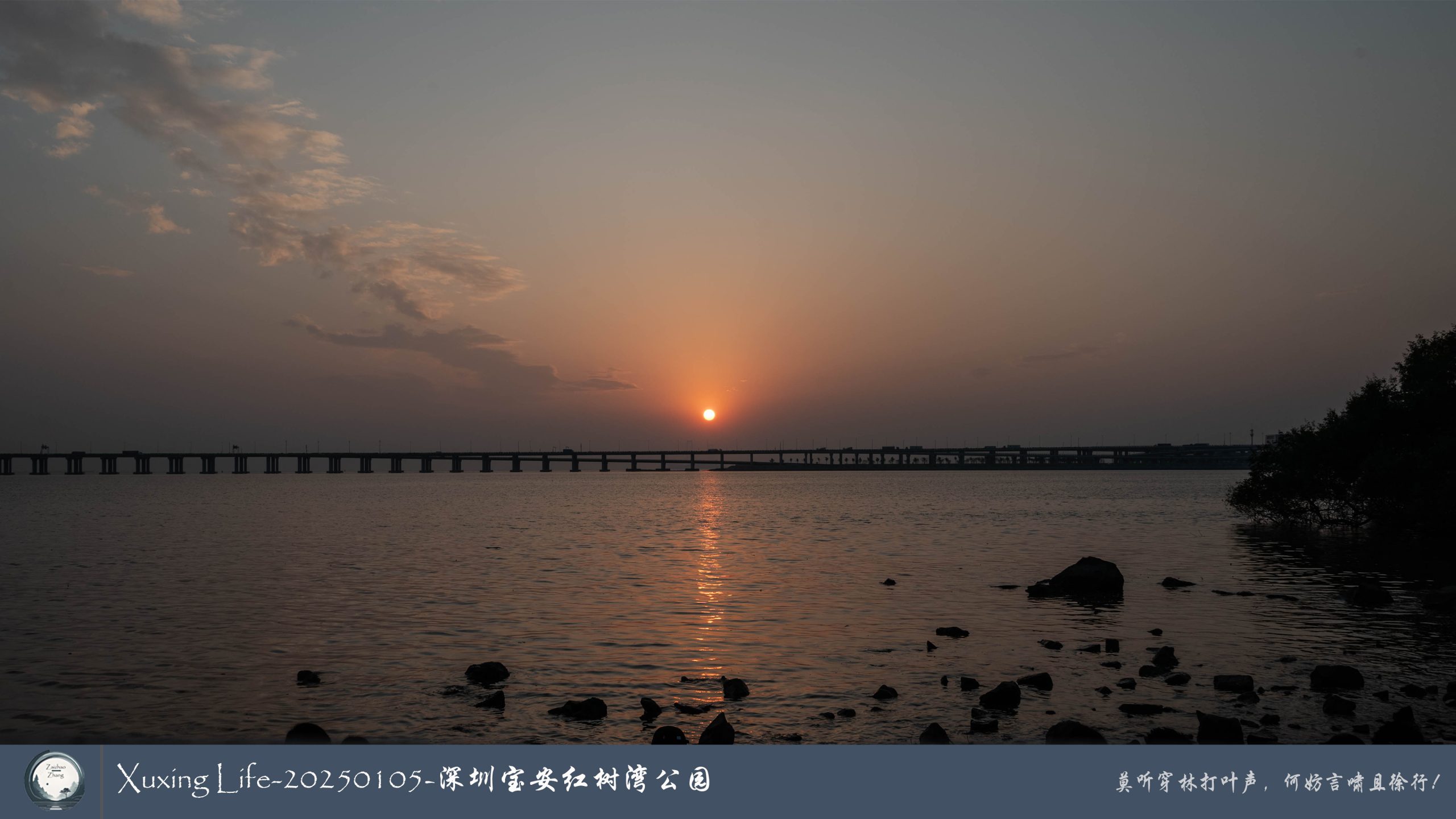 Xuxing Life - 2025年1月5日 - 深圳红树湾公园