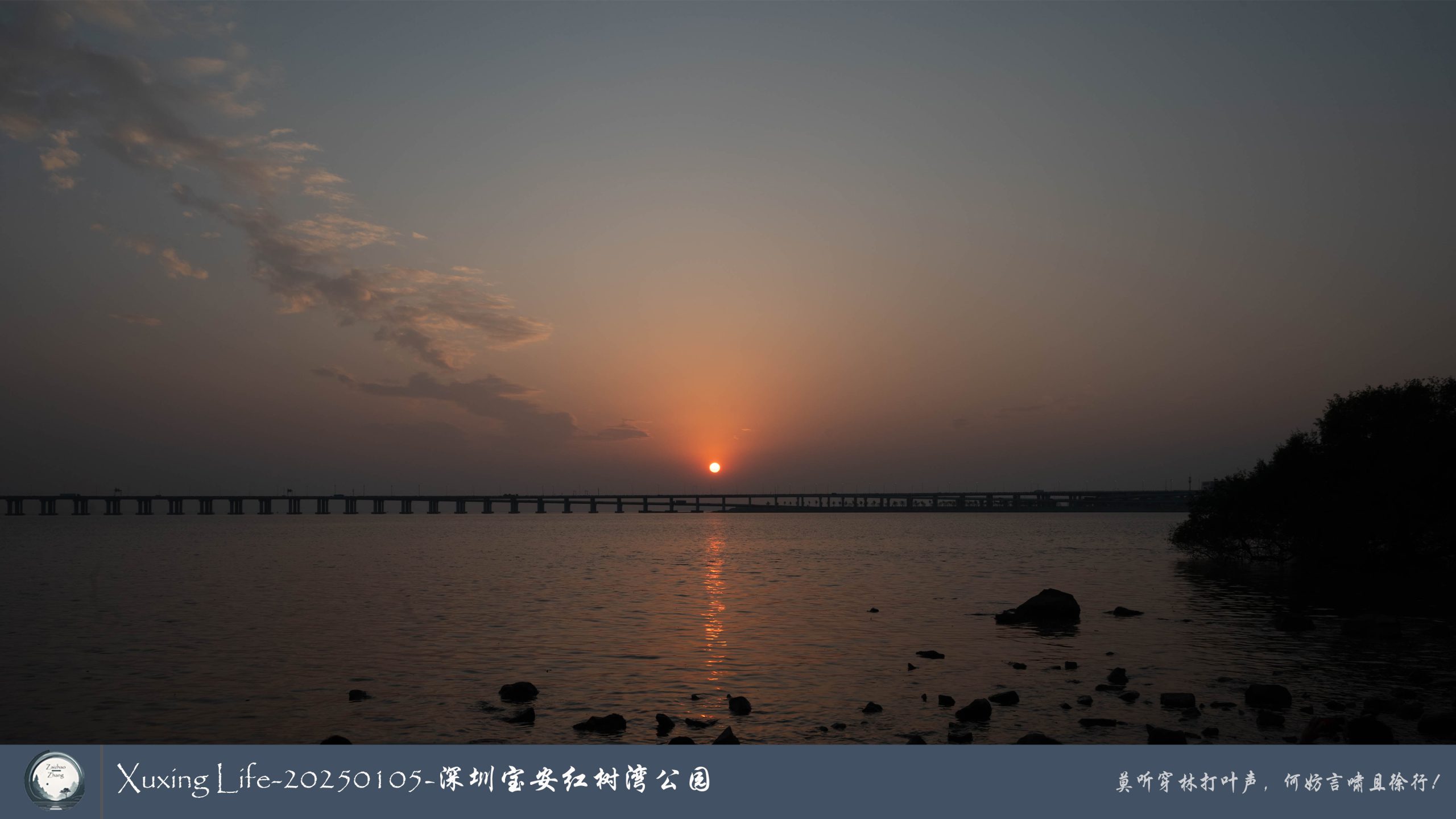 Xuxing Life - 2025年1月5日 - 深圳红树湾公园