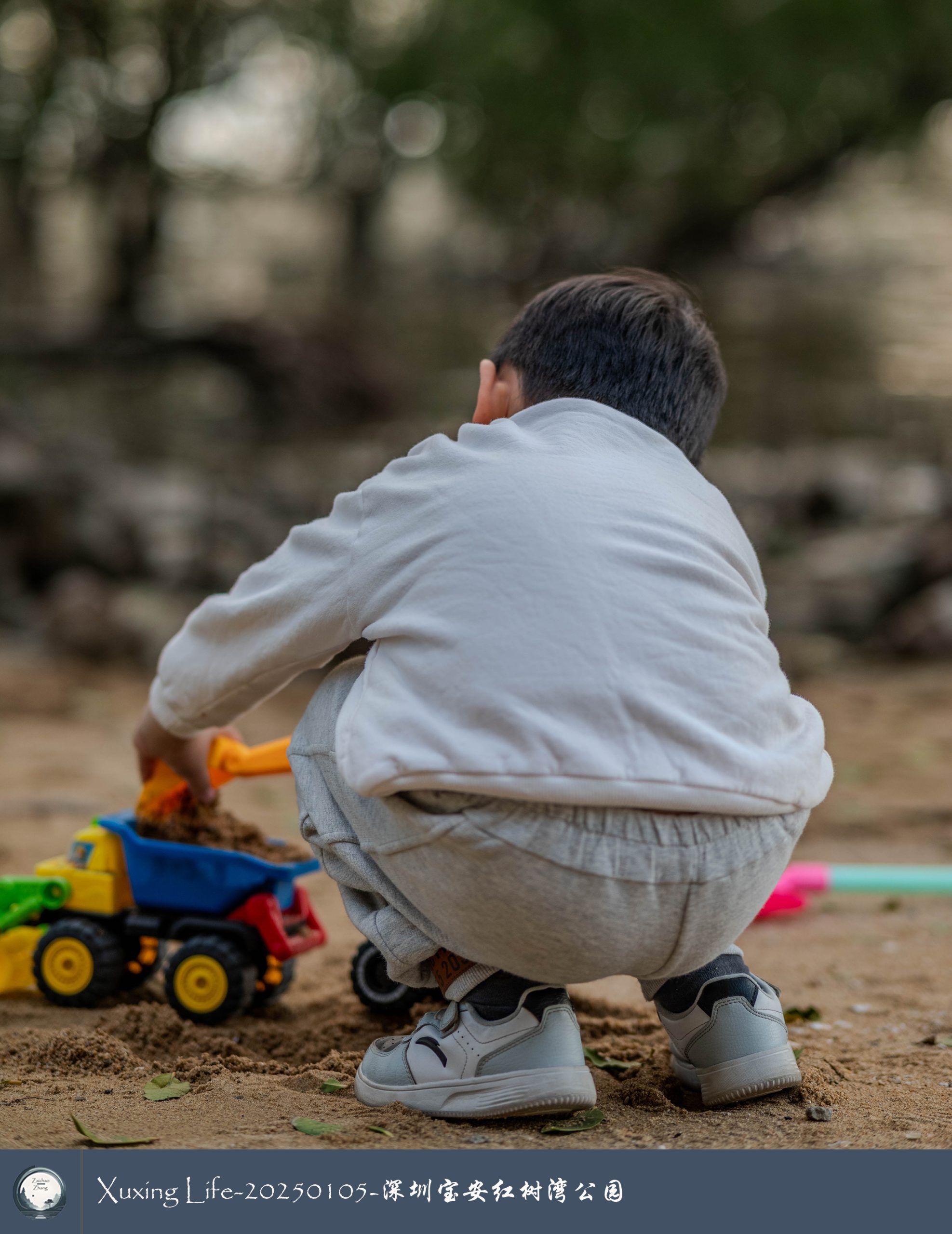 Xuxing Life - 2025年1月5日 - 深圳红树湾公园