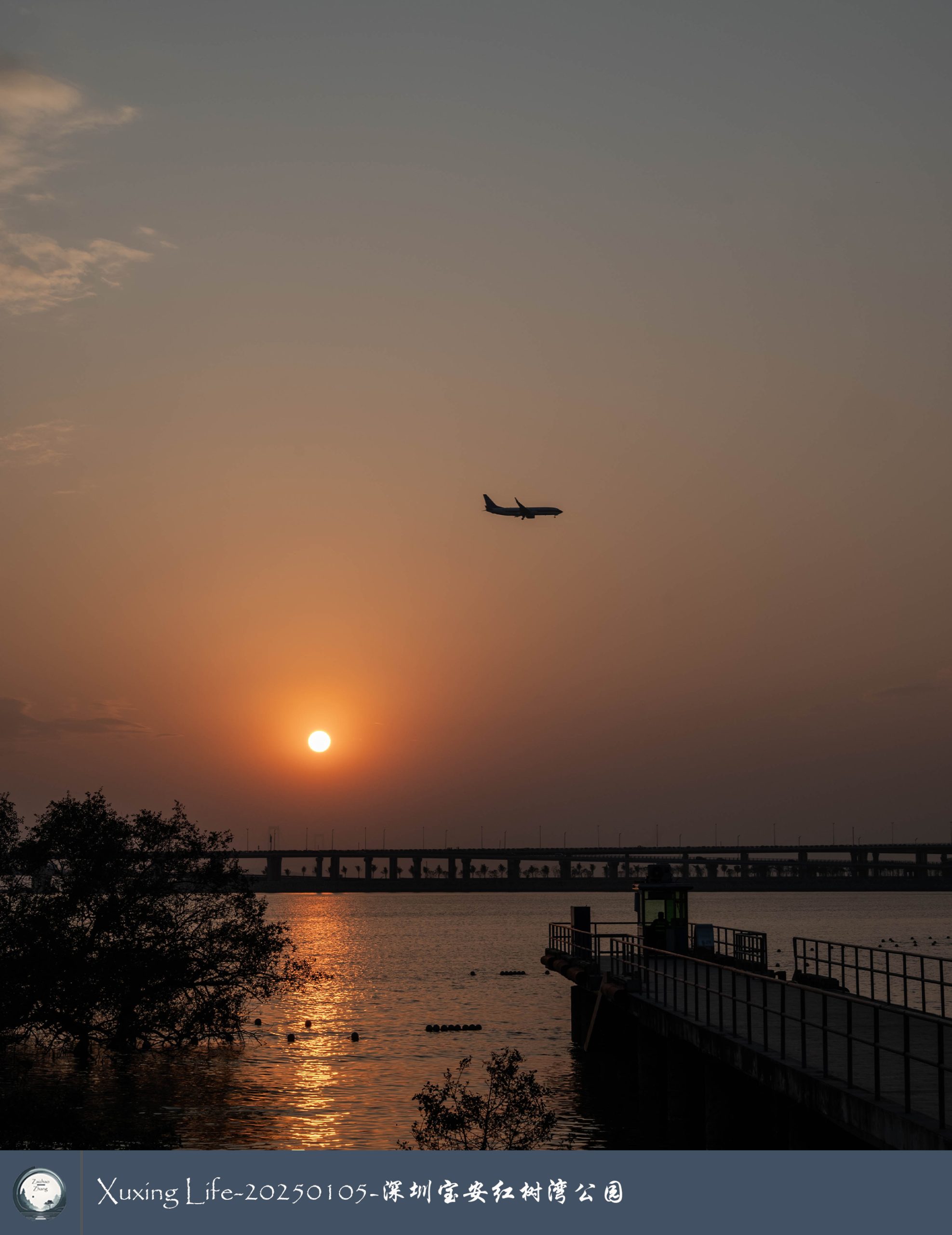 Xuxing Life - 2025年1月5日 - 深圳红树湾公园