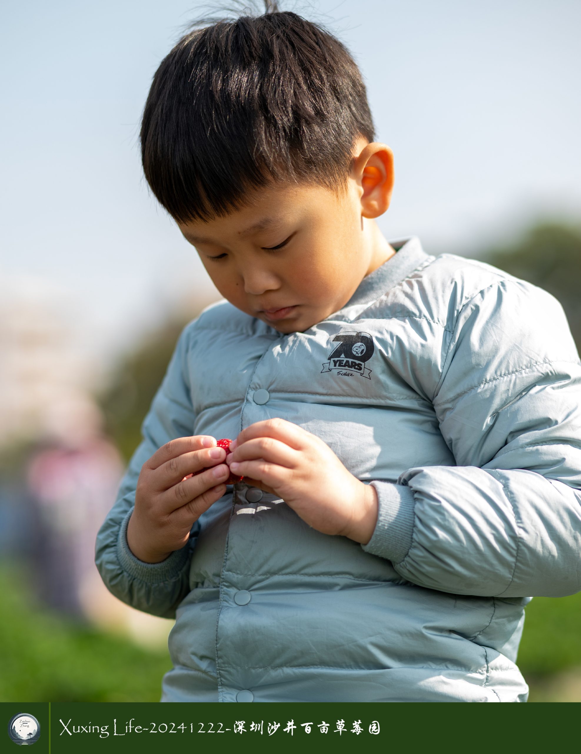 XuXing Life - 20241222 - 沙井百亩草莓园