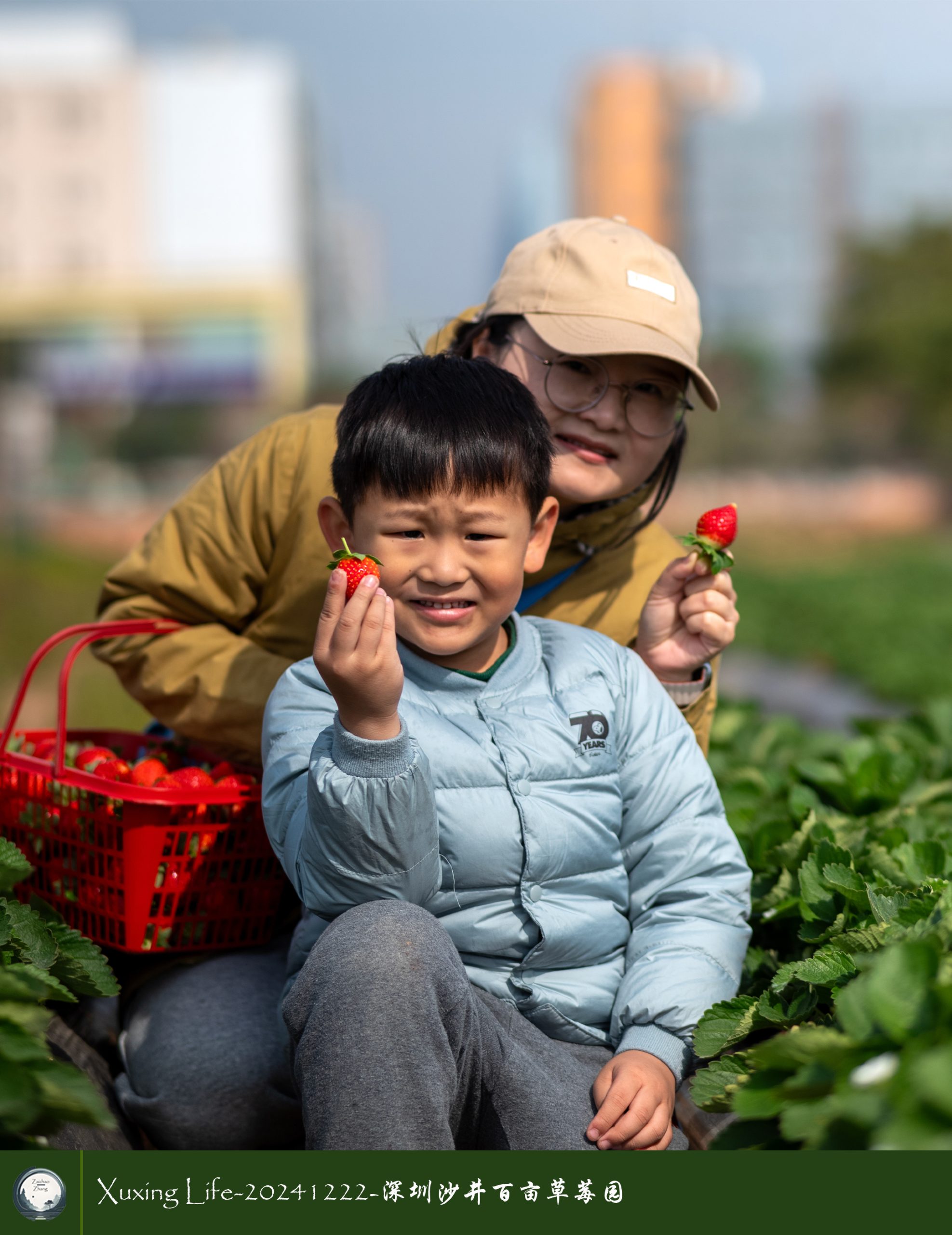 XuXing Life - 20241222 - 沙井百亩草莓园