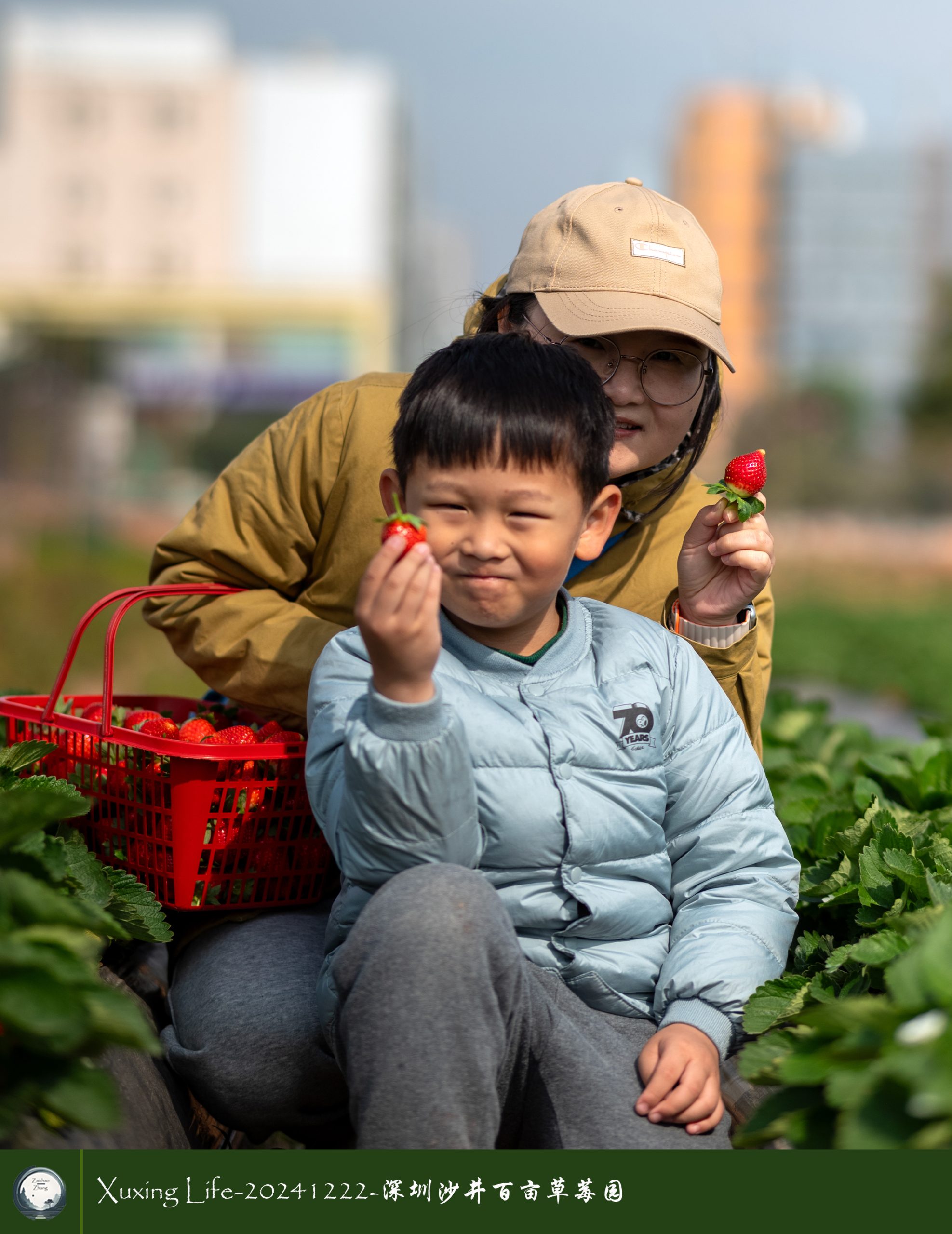 XuXing Life - 20241222 - 沙井百亩草莓园