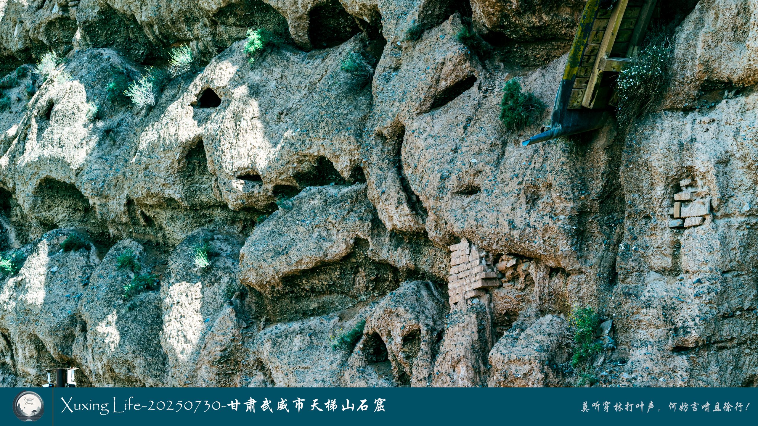 Xuxing Life-20250730-甘肃武威市天梯山石窟（二）