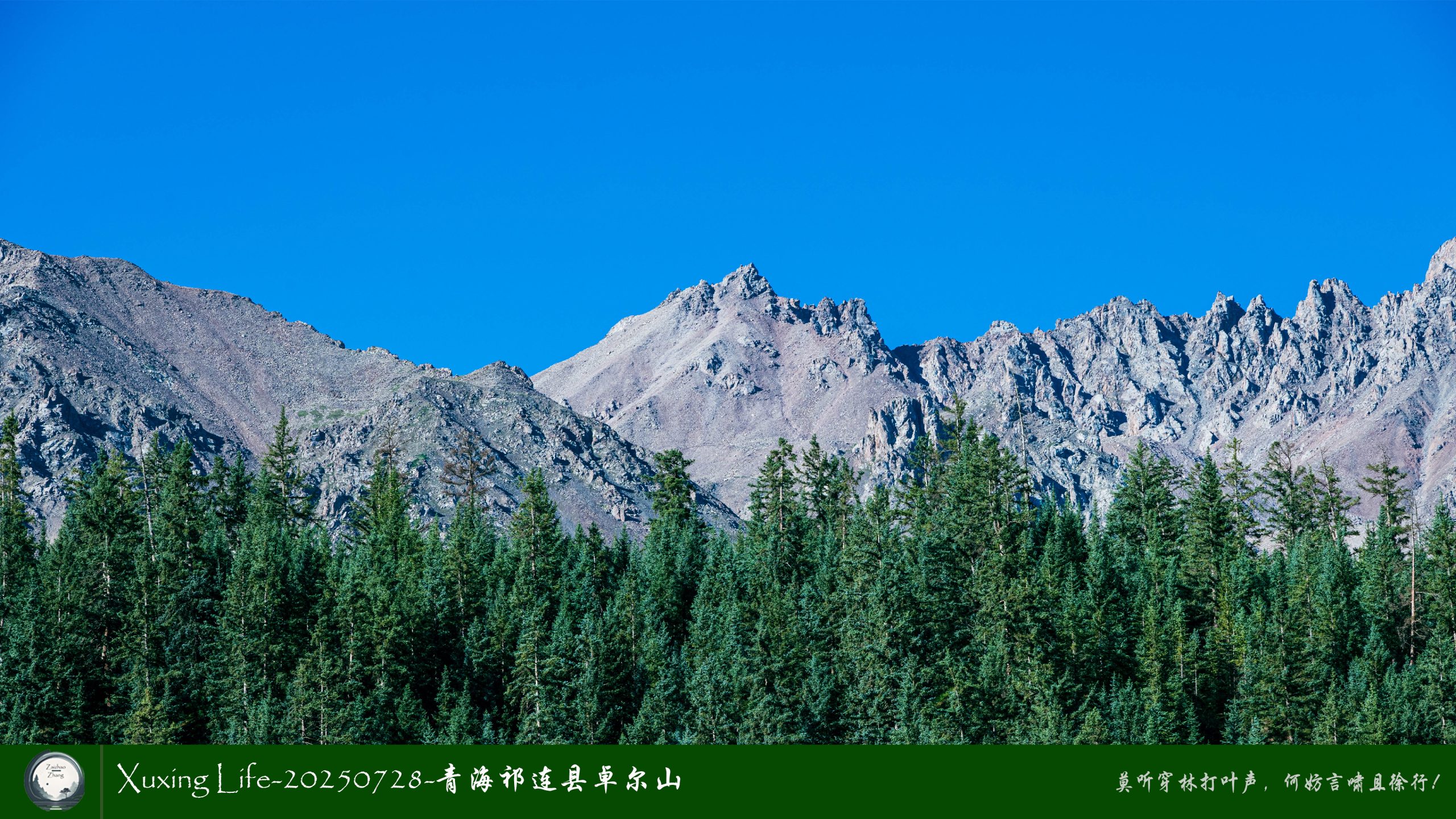 Xuxing Life-20250728-青海祁连县卓尔山（一）