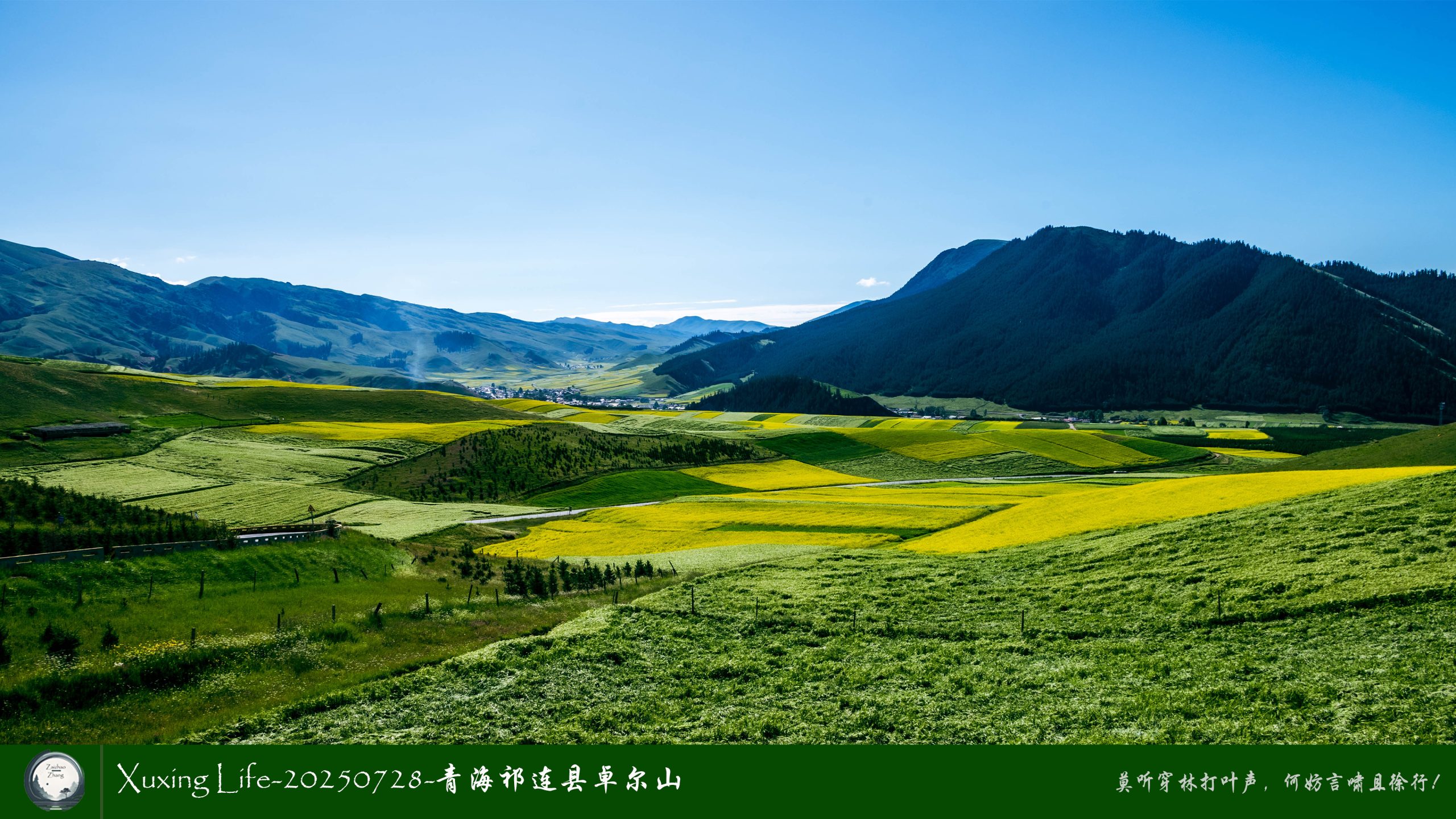 Xuxing Life-20250728-青海祁连县卓尔山（二）