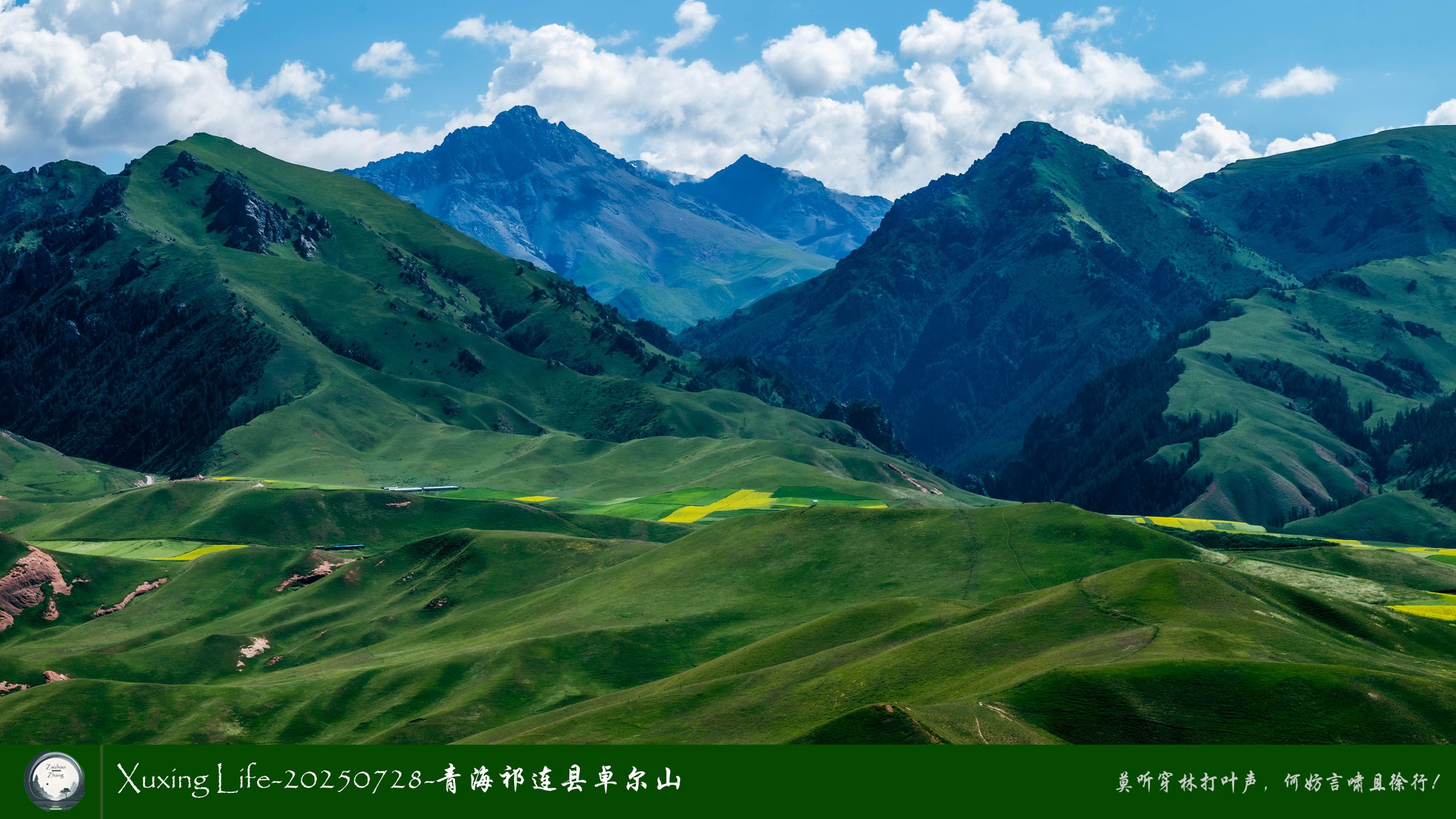 Xuxing Life-20250728-青海祁连县卓尔山（五）