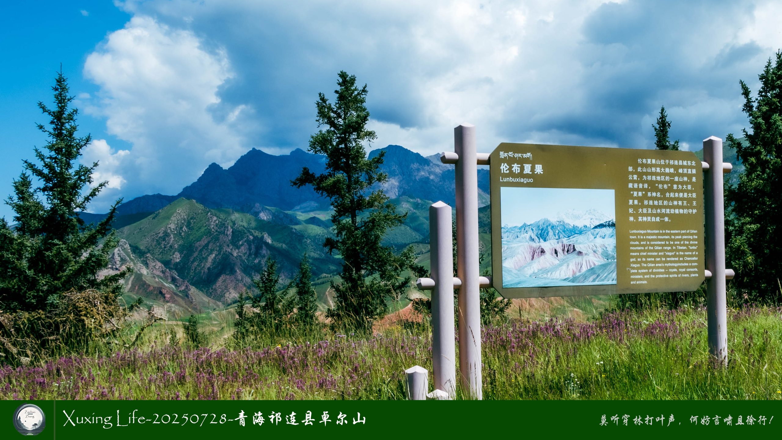 Xuxing Life-20250728-青海祁连县卓尔山（十）