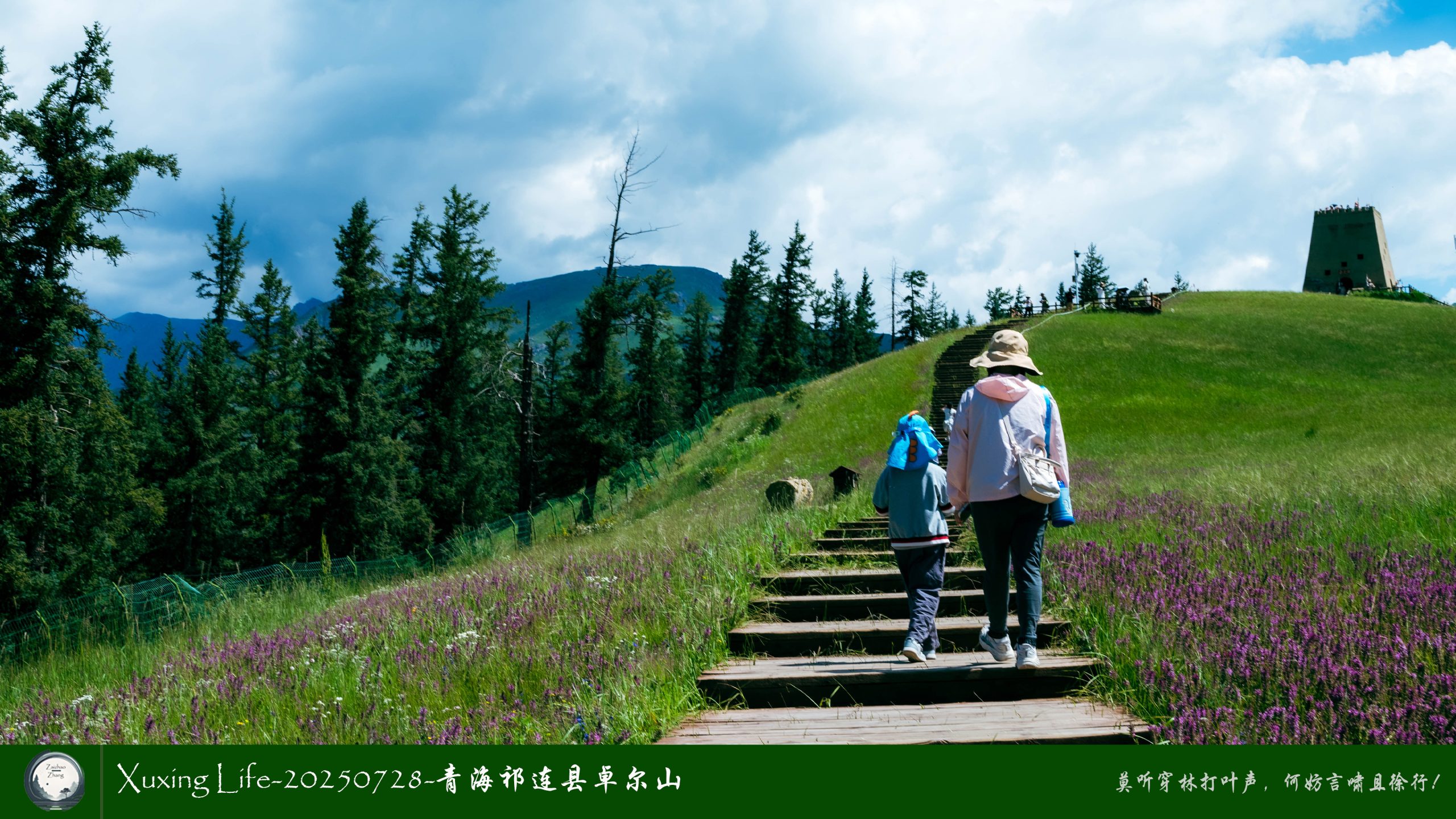 Xuxing Life-20250728-青海祁连县卓尔山（十）