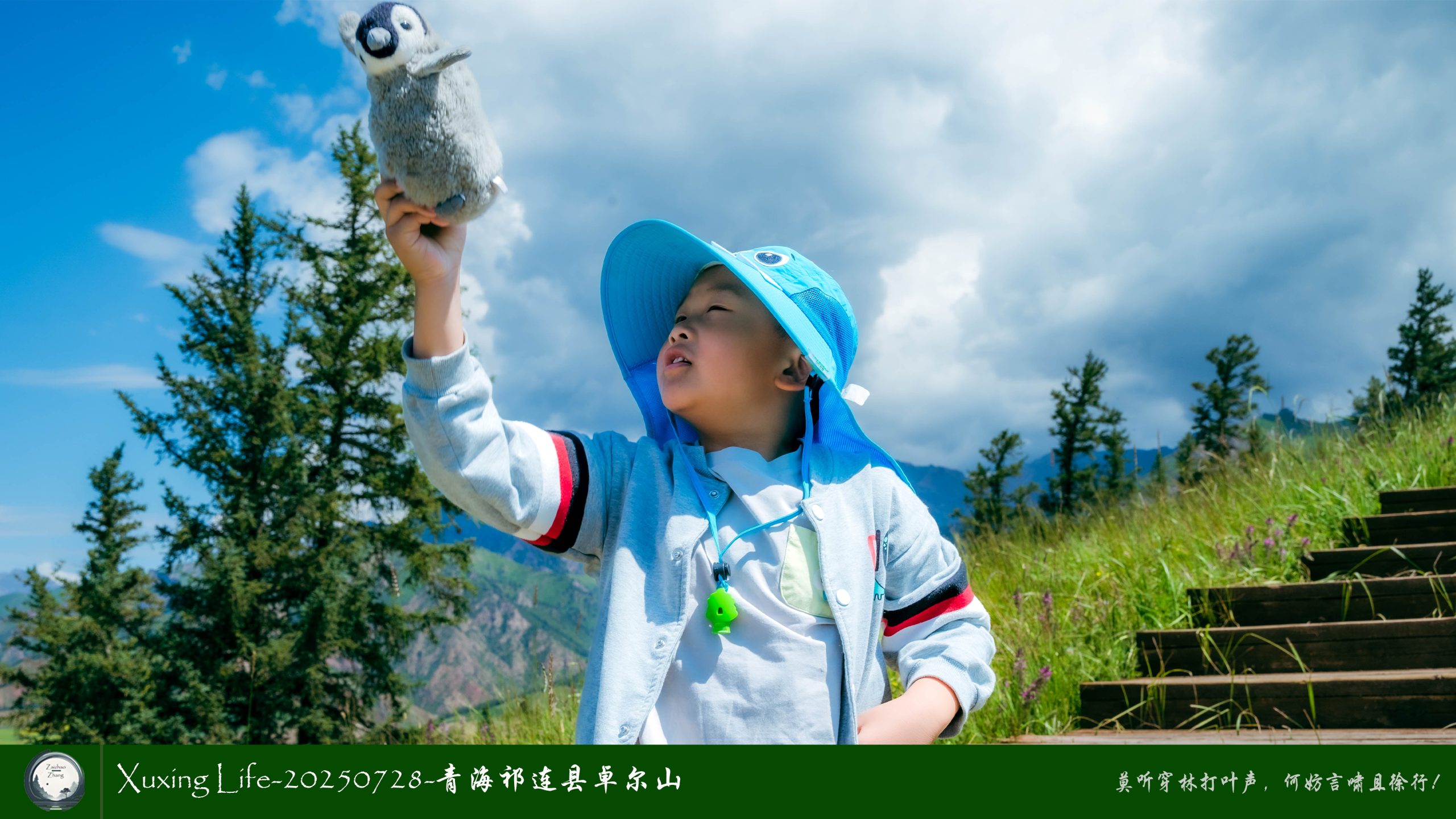 Xuxing Life-20250728-青海祁连县卓尔山（十）