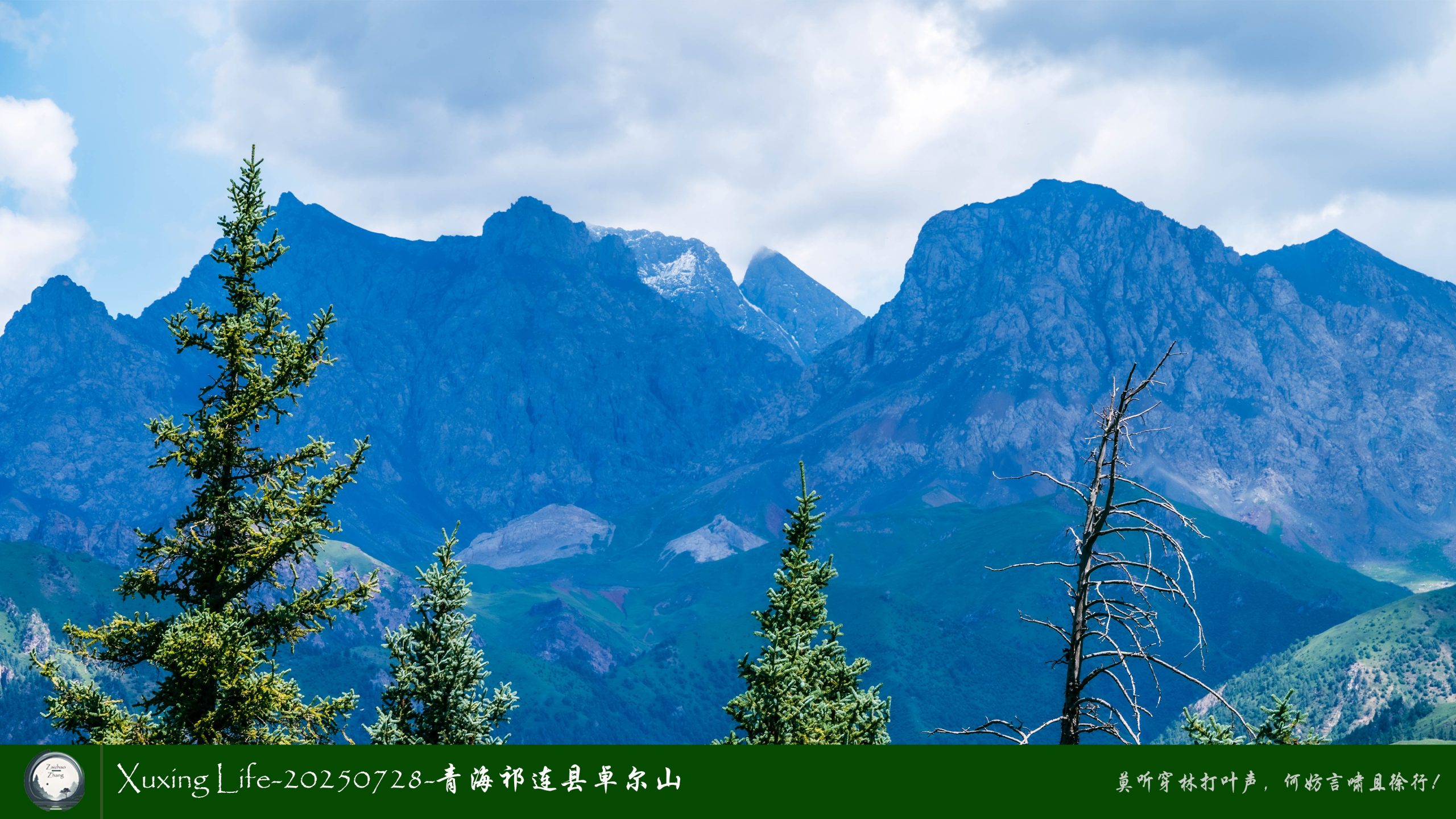 Xuxing Life-20250728-青海祁连县卓尔山（十一）