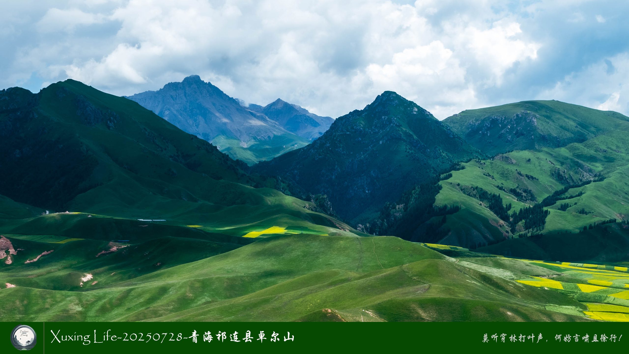 Xuxing Life-20250728-青海祁连县卓尔山（十二）