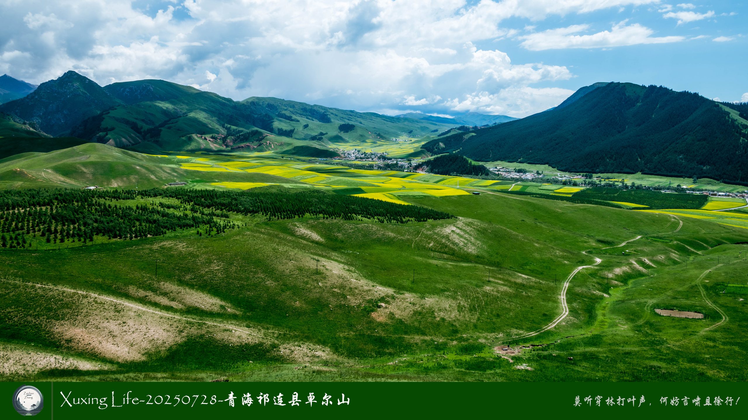 Xuxing Life-20250728-青海祁连县卓尔山（十二）