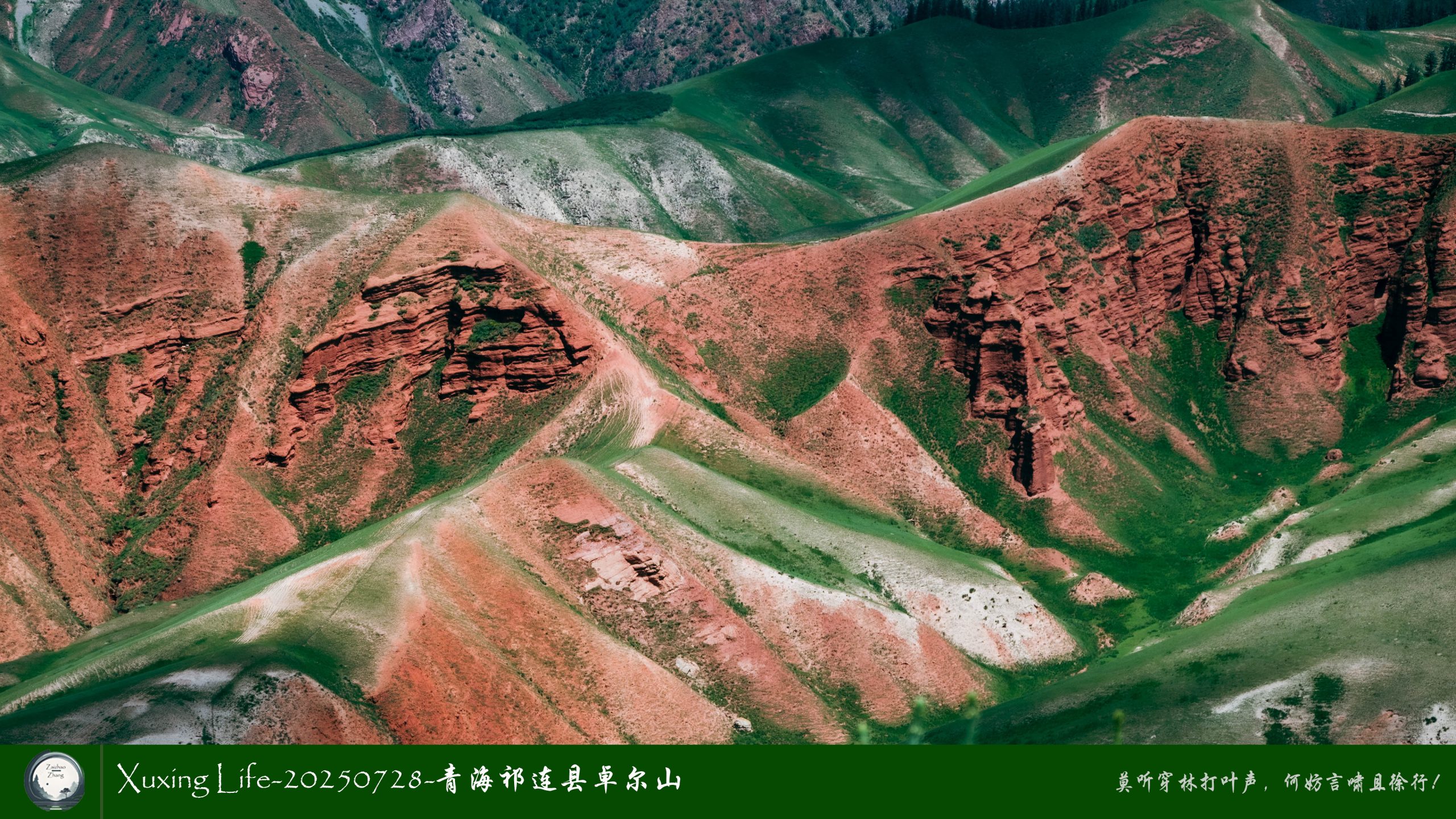 Xuxing Life-20250728-青海祁连县卓尔山（十三）