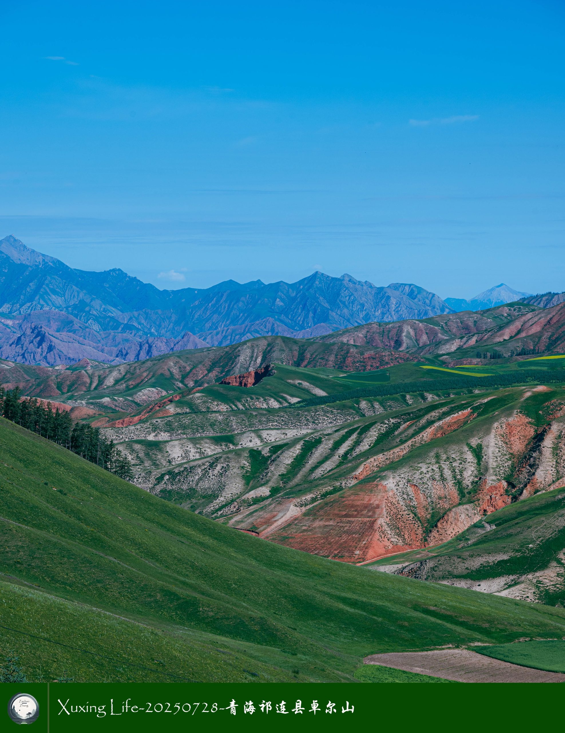 Xuxing Life-20250728-青海祁连县卓尔山（十四）