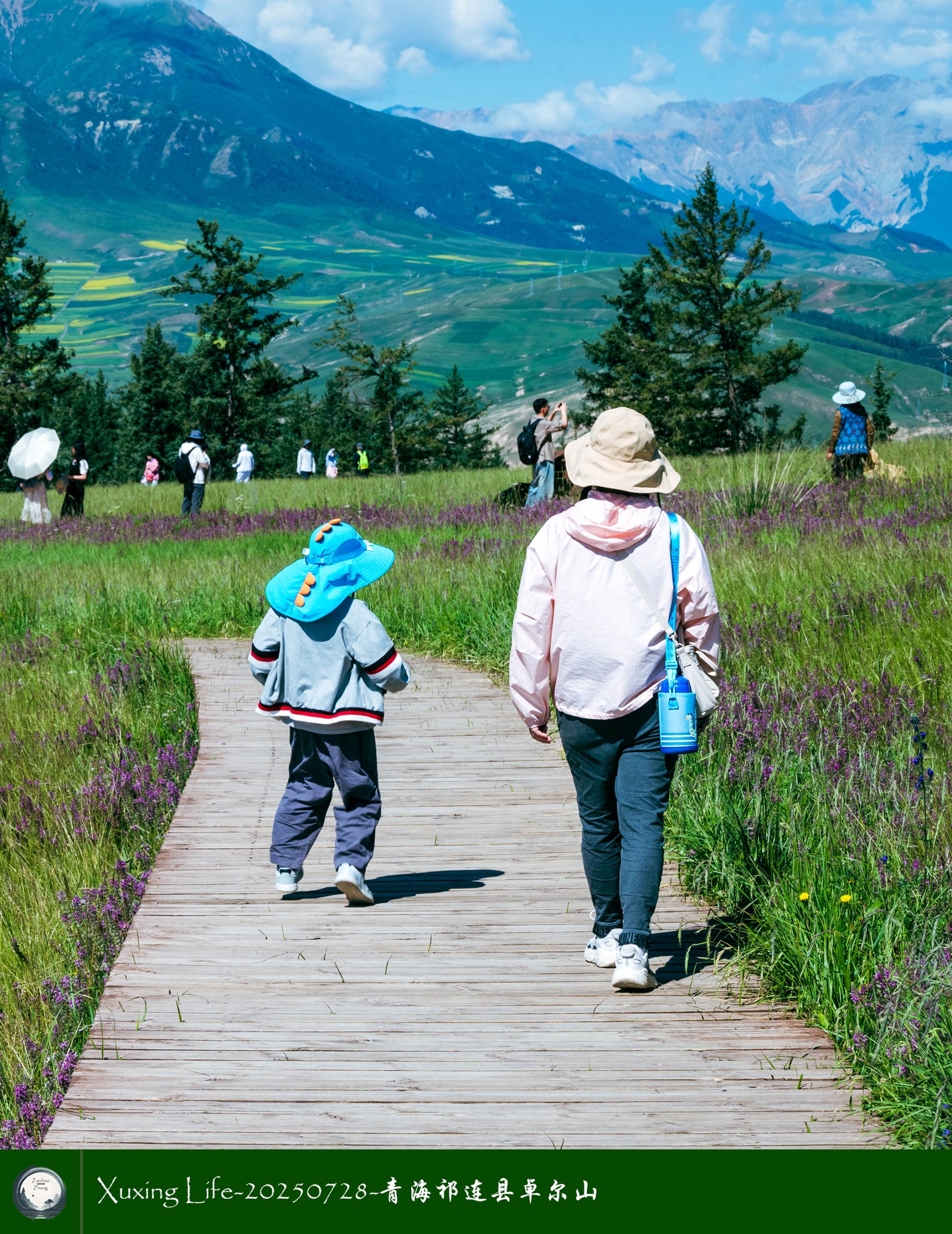 Xuxing Life-20250728-青海祁连县卓尔山（十四）