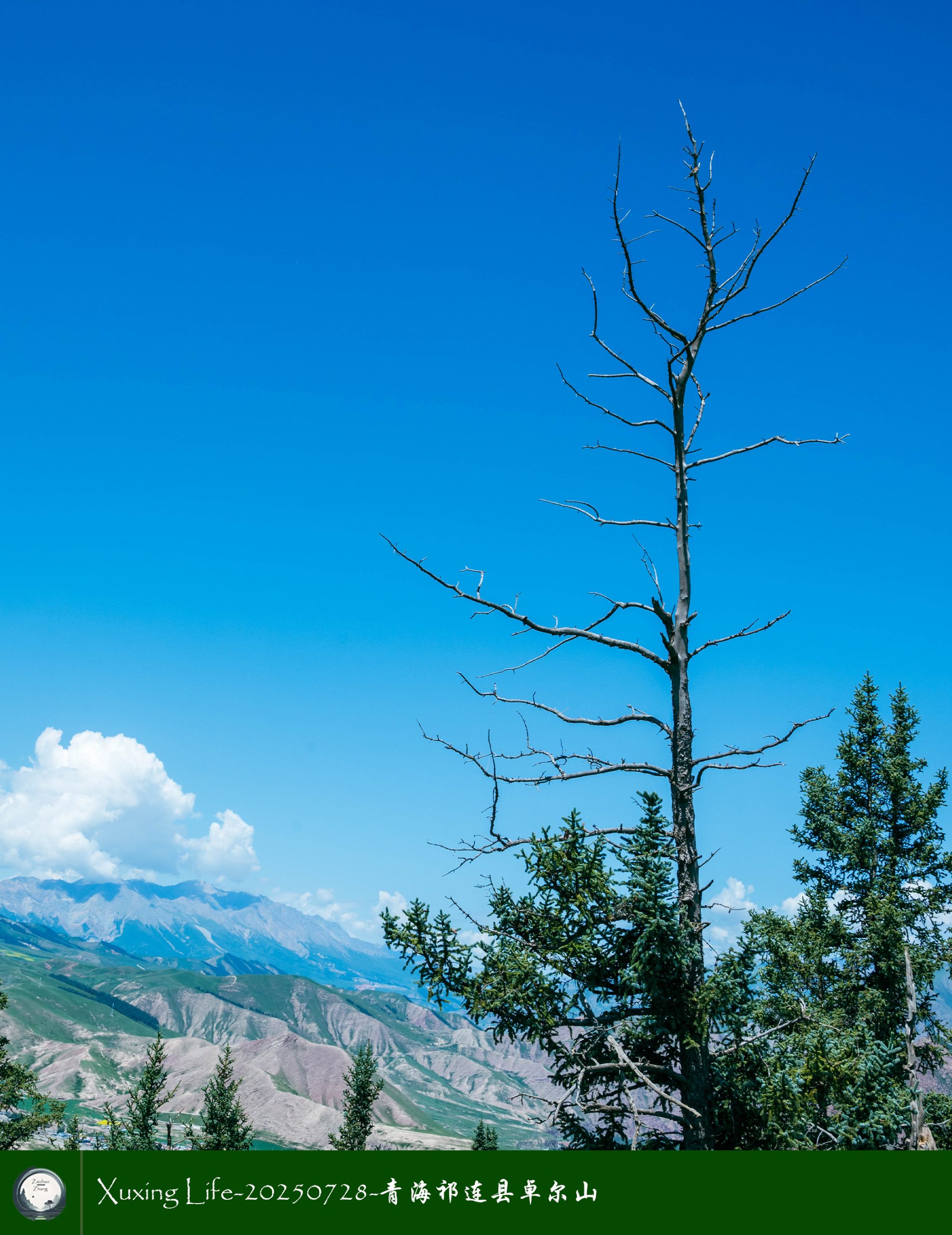 Xuxing Life-20250728-青海祁连县卓尔山（十四）